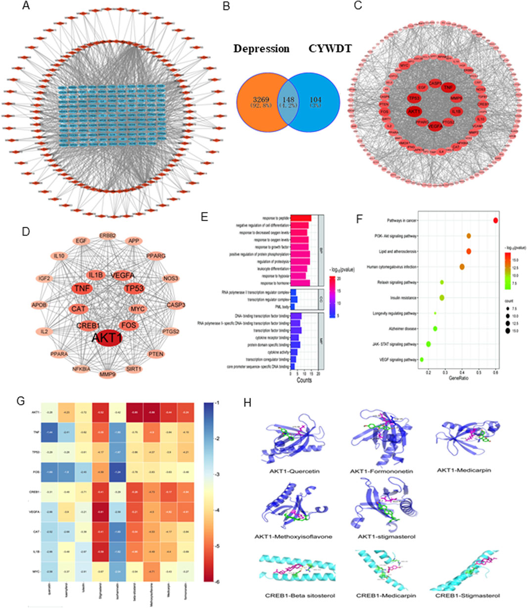 A complex diagram with multiple panels: A) A network map highlighting interactions with a central cluster. B) A Venn diagram comparing depression and CYWDT with labeled overlaps. C) Another network diagram, focusing on a central node. D) A cluster map with AKT1 as the central node, connected to various elements. E) A bar graph displaying various biological responses categorized by different pathways and count values. F) A bubble plot illustrating pathways related to disease, with size and color denoting significance and count. G) A heatmap of correlation coefficients between various elements. H) Molecular docking models of AKT1 and CREB1 with various compounds.