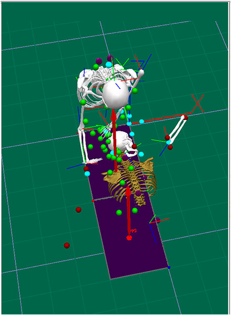 Skeleton model with various colored spheres and vectors on a green grid. The spheres are placed at key points, likely representing joints or markers, with red, blue, and green arrows indicating axes or directions. A purple rectangle lies beneath the model.