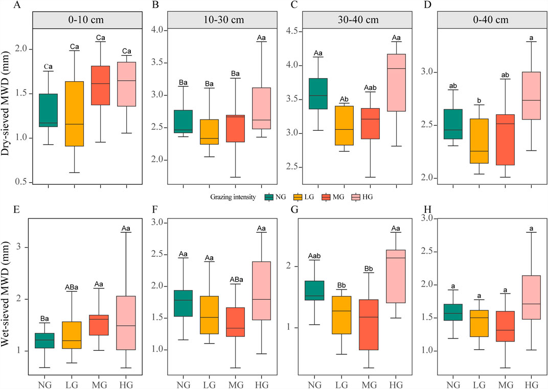 Box plots illustrating dry-sieved and wet-sieved mean weight diameter (MWD) in millimeters across various depths and grazing intensities. Panels A-D show dry-sieved MWD for depths 0-10 cm, 10-30 cm, 30-40 cm, and a combined 0-40 cm. Panels E-H show wet-sieved MWD for the same depths. Grazing intensities are categorized as NG (No Grazing), LG (Light Grazing), MG (Moderate Grazing), and HG (Heavy Grazing) with corresponding color codes. Statistical differences are indicated by letters above each box plot.