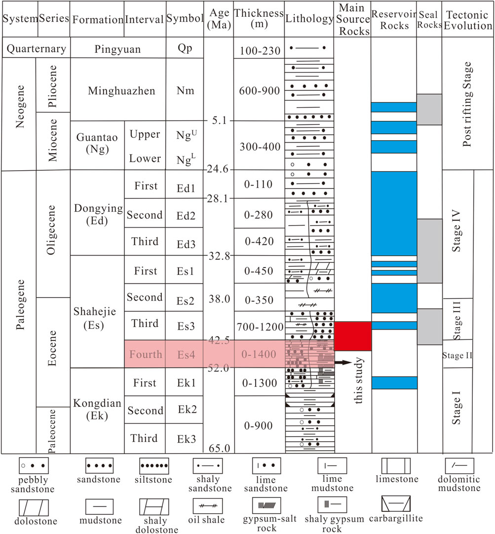 Stratigraphic chart detailing various geological periods with formations, intervals, symbols, ages in million years, thickness in meters, and lithology types. It highlights main source rocks, reservoir rocks, and seal rocks with tectonic evolution stages. Specific lithologies like sandstone, siltstone, and limestone are shown with patterns. The focus is on the fourth interval of the Shahejie Formation highlighted in red.