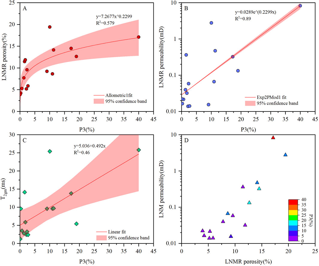 Four scientific graphs labeled A, B, C, and D illustrate different statistical relationships with confidence bands. Graph A shows an allometric fit between LNM porosity and P3 percentages. Graph B displays an exponential fit between LNM permeability and P3 percentages. Graph C depicts a linear fit between T₂gm and P3 percentages. Graph D compares LNM permeability and porosity, with points colored according to a scale of P3 ranging from 0 to 40 percent, represented by different colors. Each graph includes a red confidence band for visual emphasis on statistical certainty.