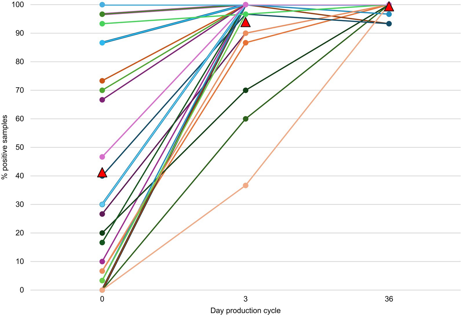Line graph showing the percentage of positive samples over a 36-day production cycle. Multiple colored lines represent different sample groups. All lines start low at day 0, peak near 100% by day 3, and remain high at day 36. A red triangle highlights significant data points.