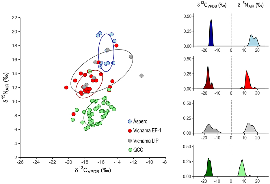Scatter plot with ellipses and histograms depicts isotopic data. Left graph plots δ15N (‰) against δ13C (‰) for four groups: Áspero (blue), Vichama EF-1 (red), Vichama LIP (gray), and QCC (green), each with a distinct cluster. Right side features corresponding histograms showing the Kernell distribution of δ13C and δ15N values for each group, color-coded to match.