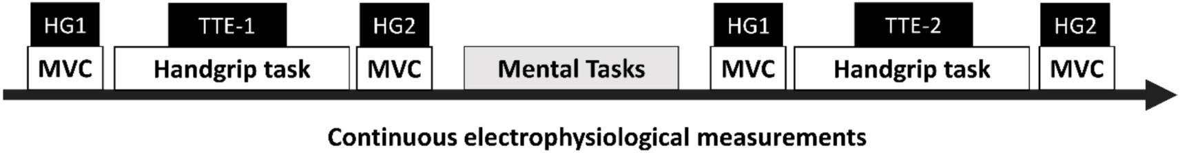 Timeline illustrating a sequence of tasks for continuous electrophysiological measurements. Tasks include MVC (maximum voluntary contraction), handgrip, mental tasks, with HG1 and HG2 indicating stages and TTE-1 and TTE-2 designating time-to-exhaustion phases.