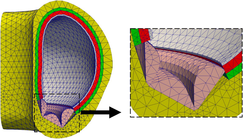 Cross-sectional diagram of the blanket structural component mesh with a zoomed-in view. The mesh is formed with tetrahedral elements. The main section shows a cylindrical layer with a dense yellow lattice pattern and inner blue mesh framework. The zoomed area highlights red, green, and pink layers inside, focusing on the geometry and materials of the structure. Each color indicates a different subdomain and material. The divertor at the bottom is light brown. The first wall is grey.