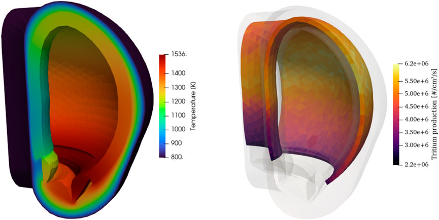 Two 3D cross-sectional diagrams of a fusion tokamak are shown. The left diagram uses a color gradient from purple to red to green to indicate temperatures ranging from 800 to 1536 Kelvin, as per the included scale. The hotter region are near the first wall. The right diagram uses a color gradient from black to yellow to represent tritium production rates per cubic centimeter per second, with values from 2.2 million to 6.2 million, according to the accompanying scale. Both tritium production and temperature are higher in the lower part, nearer the divertor.