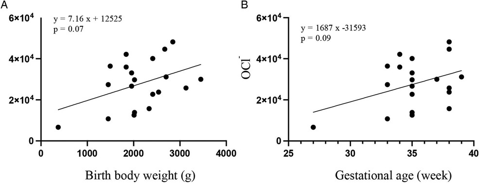 Scatter plot with two graphs. Left graph: OCl− versus birth body weight in grams, showing a weak positive trend with equation y = 7.16x + 12525, p = 0.07. Right graph: OCl− versus gestational age in weeks, showing a weak positive trend with equation y = 1687x - 31593, p = 0.09. Both graphs display scattered data points and trend lines.