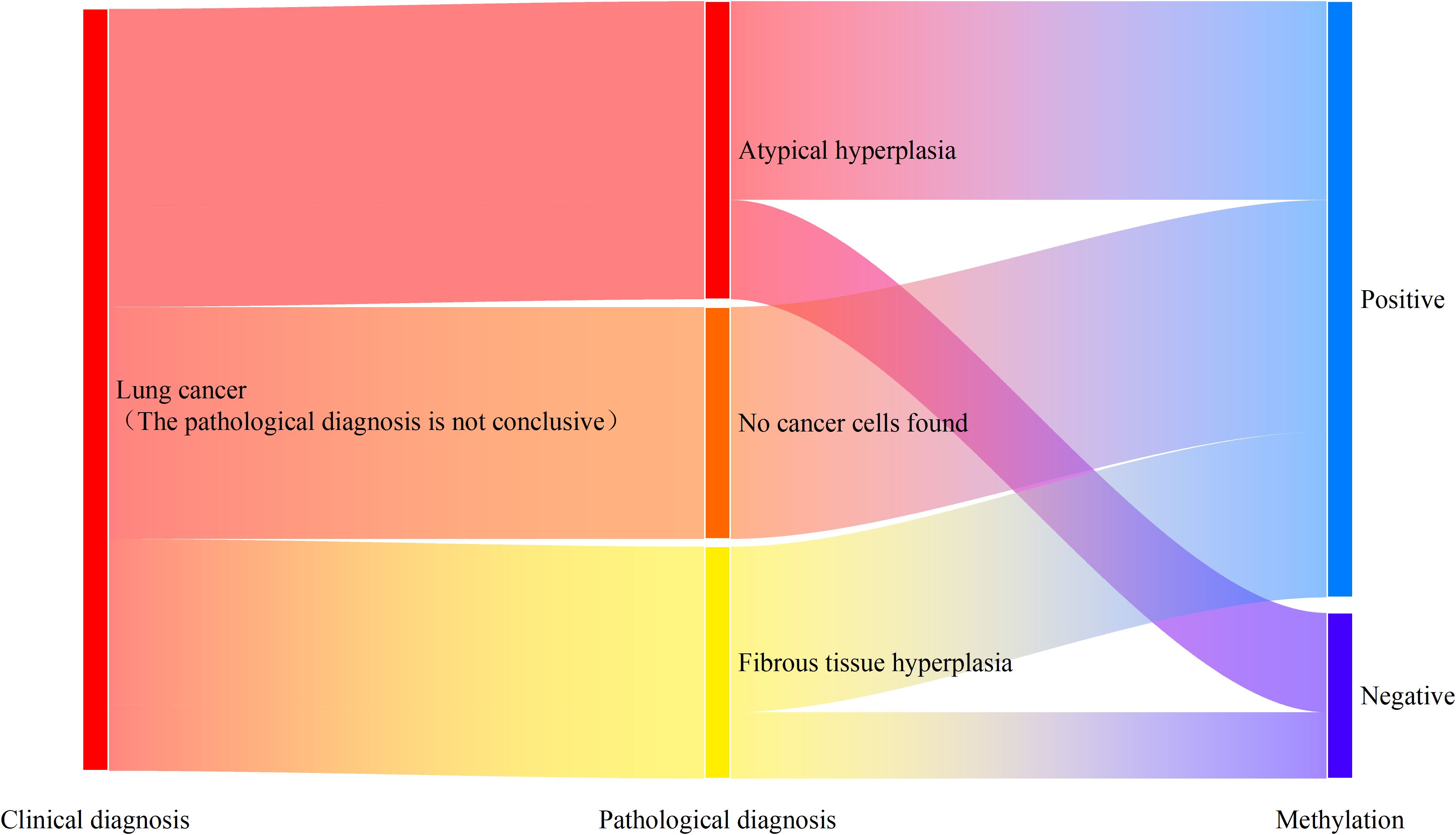 Sankey diagram illustrating the flow from clinical diagnosis to pathological diagnosis and methylation results. Categories include lung cancer diagnosis with inconclusive pathology, atypical hyperplasia, fibrous tissue hyperplasia, and results as either positive or negative for methylation.
