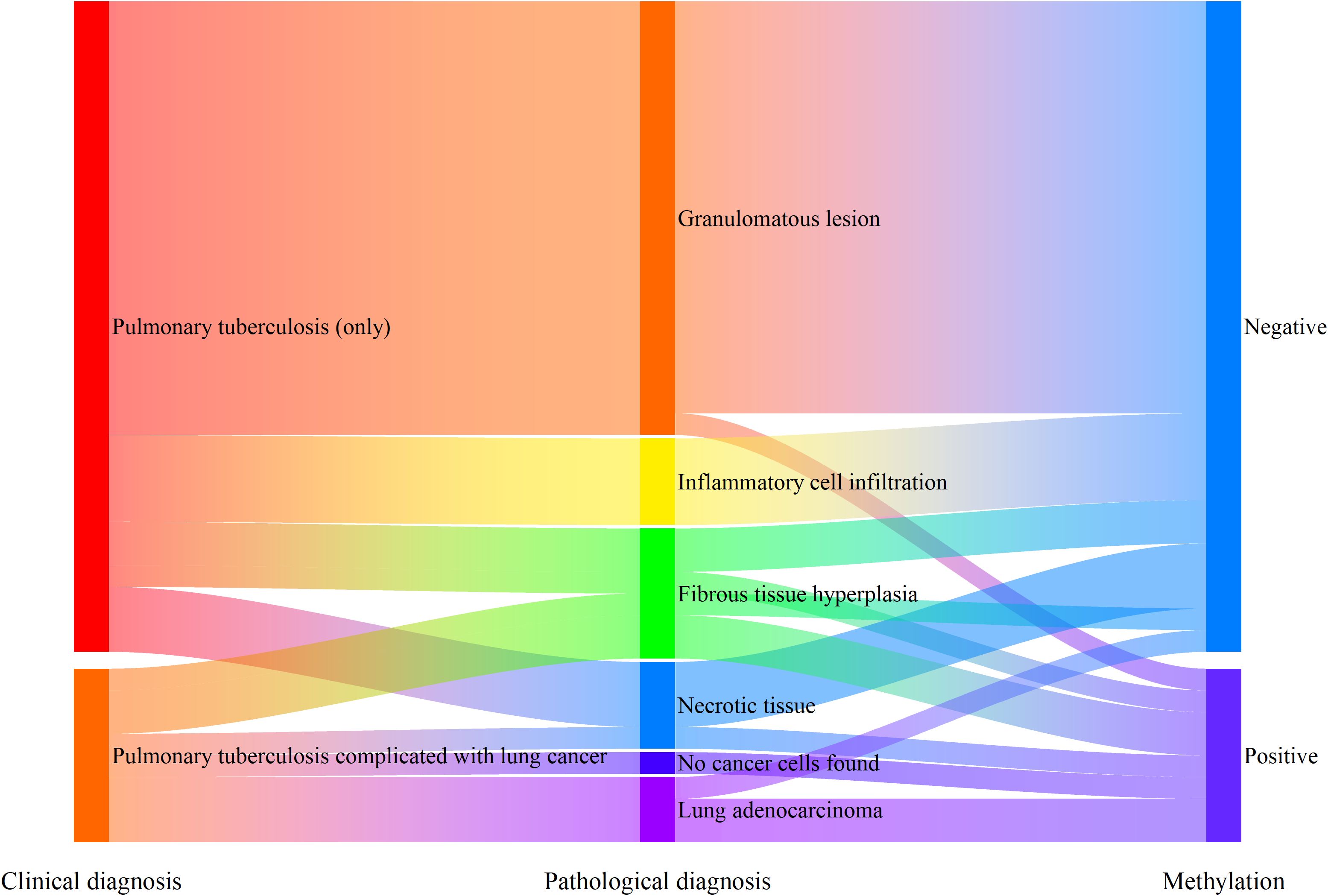Sankey diagram illustrating the progression from clinical diagnosis to pathological diagnosis and methylation status in pulmonary tuberculosis cases, with pathways for granulomatous lesions, inflammatory cell infiltration, fibrous tissue hyperplasia, necrotic tissue, and lung adenocarcinoma.