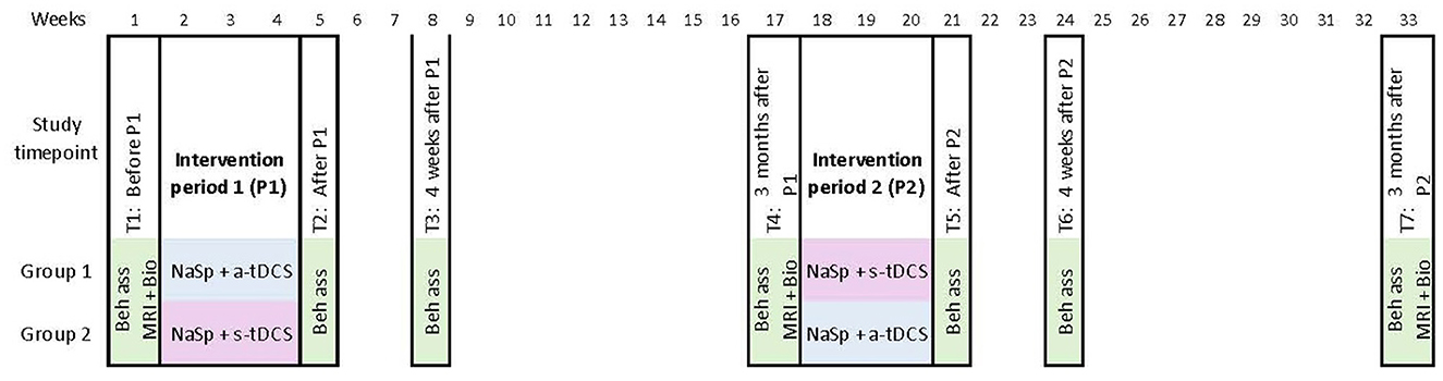 Timeline diagram showing two study periods and timepoints for two groups over 33 weeks. It includes interventions (NaSP + a-tDCS, s-tDCS) and assessments (Behavioral, MRI + Bio) at specified intervals: before and after periods, and at follow-ups of 4 weeks and 3 months.