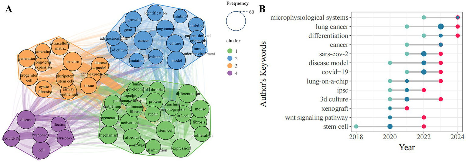 Graphical visualization of keyword clusters and trends in scientific research. Panel A displays color-coded clusters of keywords grouped into four themes, including idiopathic pulmonary fibrosis, lung cancer, cystic fibrosis, and COVID-19. Panel B presents a timeline chart tracking the frequency of keywords such as "microphysiological systems," "lung cancer," and "COVID-19," illustrating the evolution and focus of recent research.