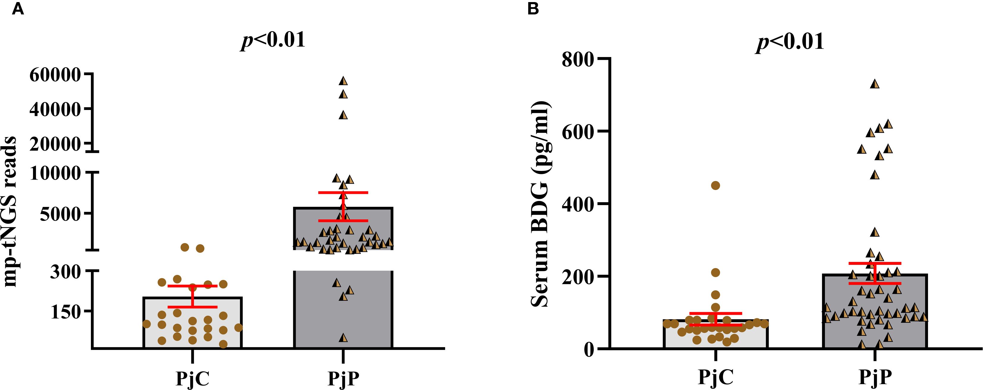 Two bar graphs comparing mp-tNGS reads and serum BDG levels between PjC and PjP groups. Graph A shows higher mp-tNGS reads for PjP with a p-value less than 0.01. Graph B shows higher serum BDG levels for PjP, also with a p-value less than 0.01. Red markers indicate data spread and error bars.