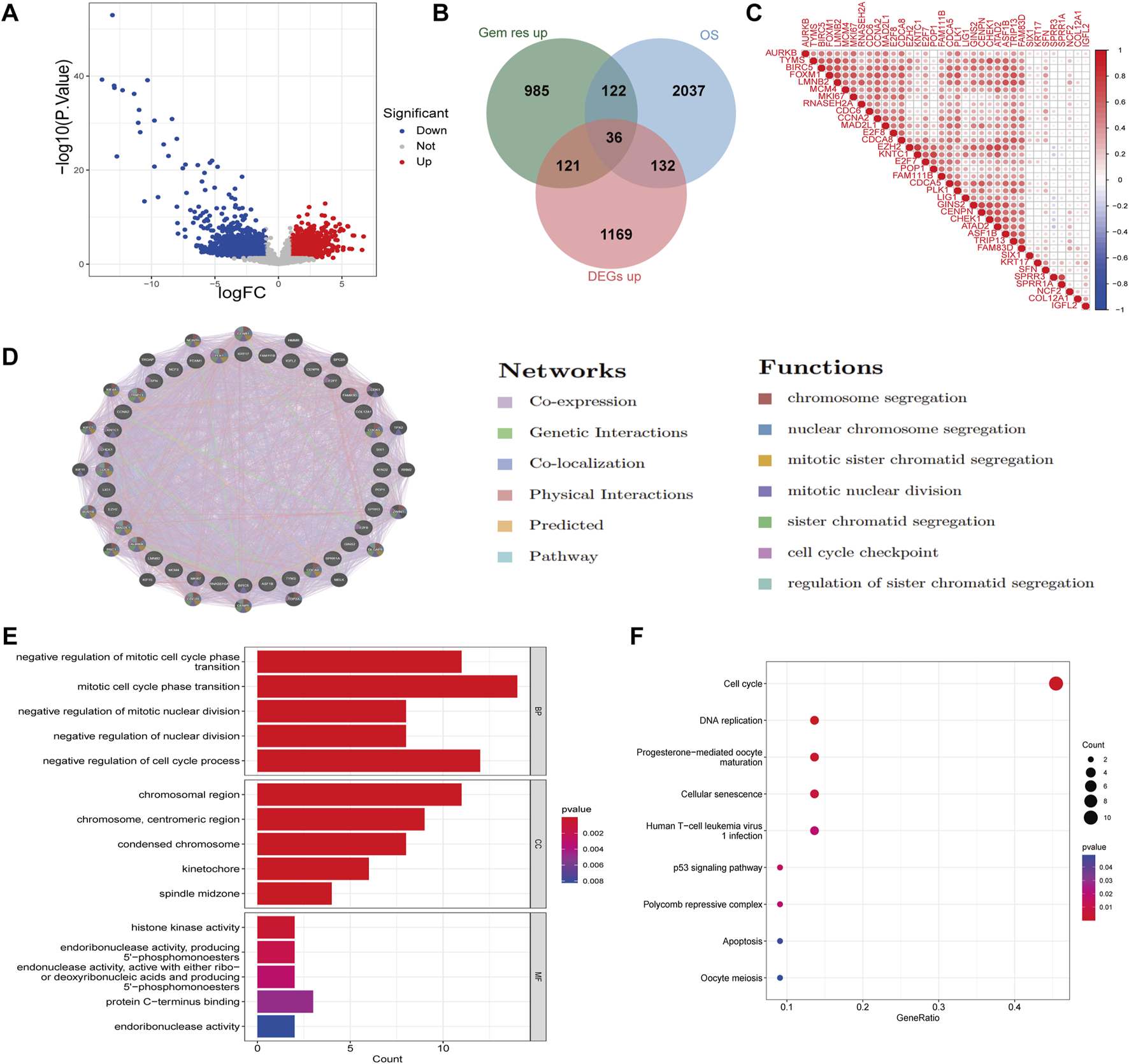 A series of scientific visualizations related to gene expression and biological networks. Panel A shows a scatter plot of log fold change versus negative log P-values with genes colored by significance. Panel B is a Venn diagram comparing gene sets. Panel C displays a heatmap of gene correlations. Panel D shows a network diagram of gene interactions with a legend for network types and functions. Panel E is a bar chart showing various biological processes with p-values indicated by color. Panel F is a dot plot showing gene sets associated with different biological pathways, colored by p-value and sized by count.