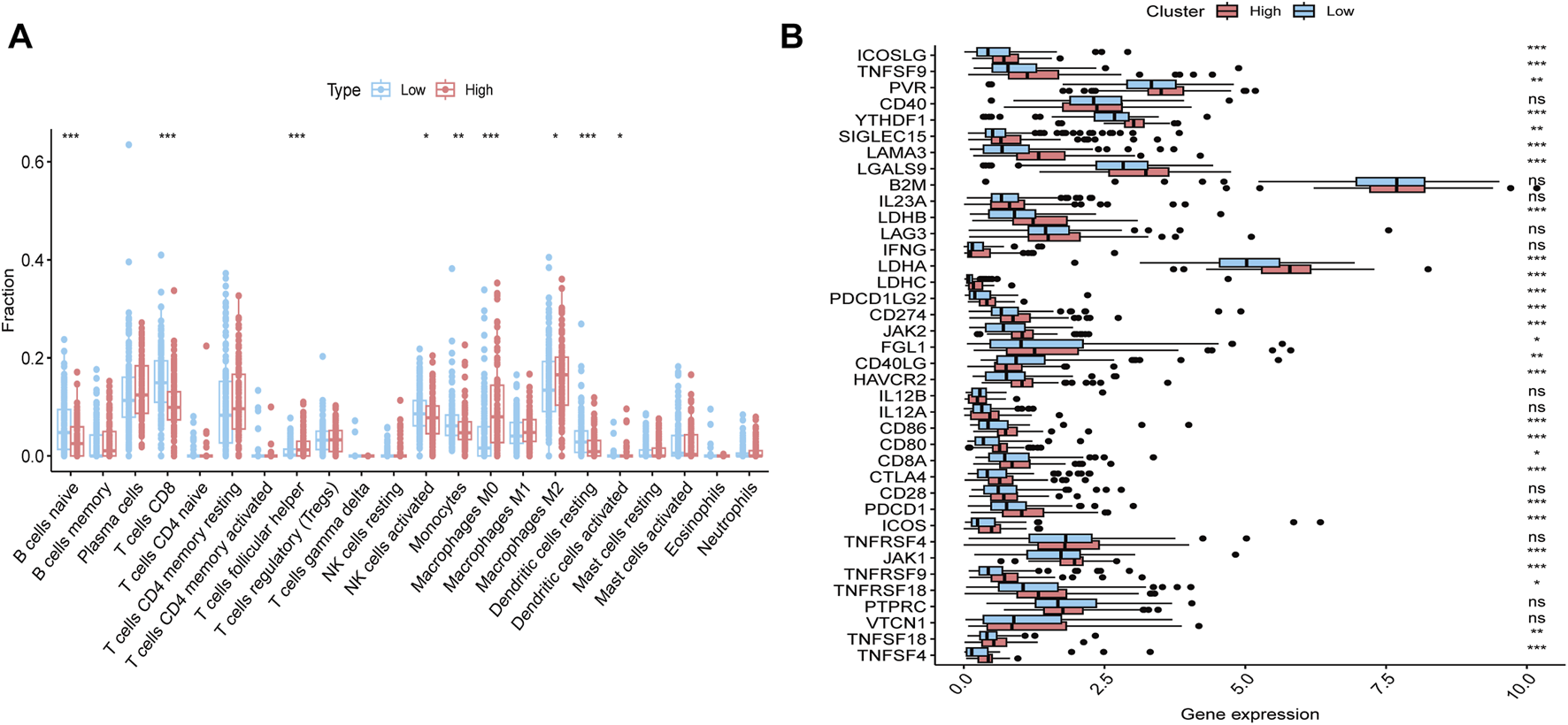 Chart A shows box plots of cell type fractions for low and high groups, with significant differences indicated by asterisks. Chart B displays box plots of gene expression levels for various genes, comparing high and low clusters, with significance levels noted.