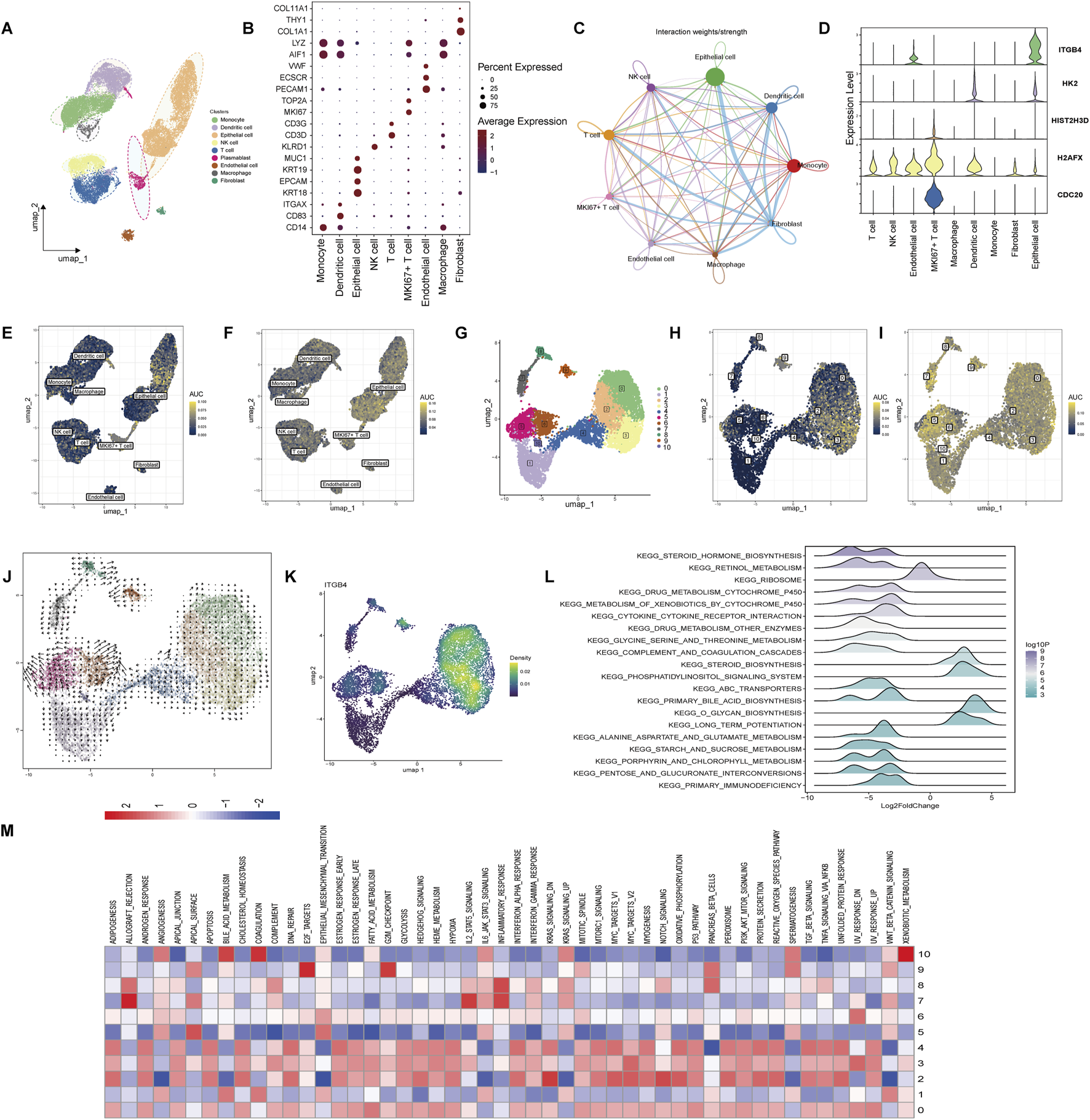 A collection of scientific data visualizations includes: A) A UMAP plot with color-coded clusters representing different cell types. B) A dot plot showing gene expression levels across clusters. C) A network diagram depicting cell type interactions. D) Violin plots illustrating expression levels of specific genes in various cell types. E, F, H, I) Multiple UMAP plots with AUC scores overlaid. G) A UMAP plot highlighting a specific cluster. J) A trajectory analysis on a UMAP plot. K) A density plot on UMAP. L) Ridge plots showing pathway activity. M) A heatmap displaying expression levels of different genes across conditions.
