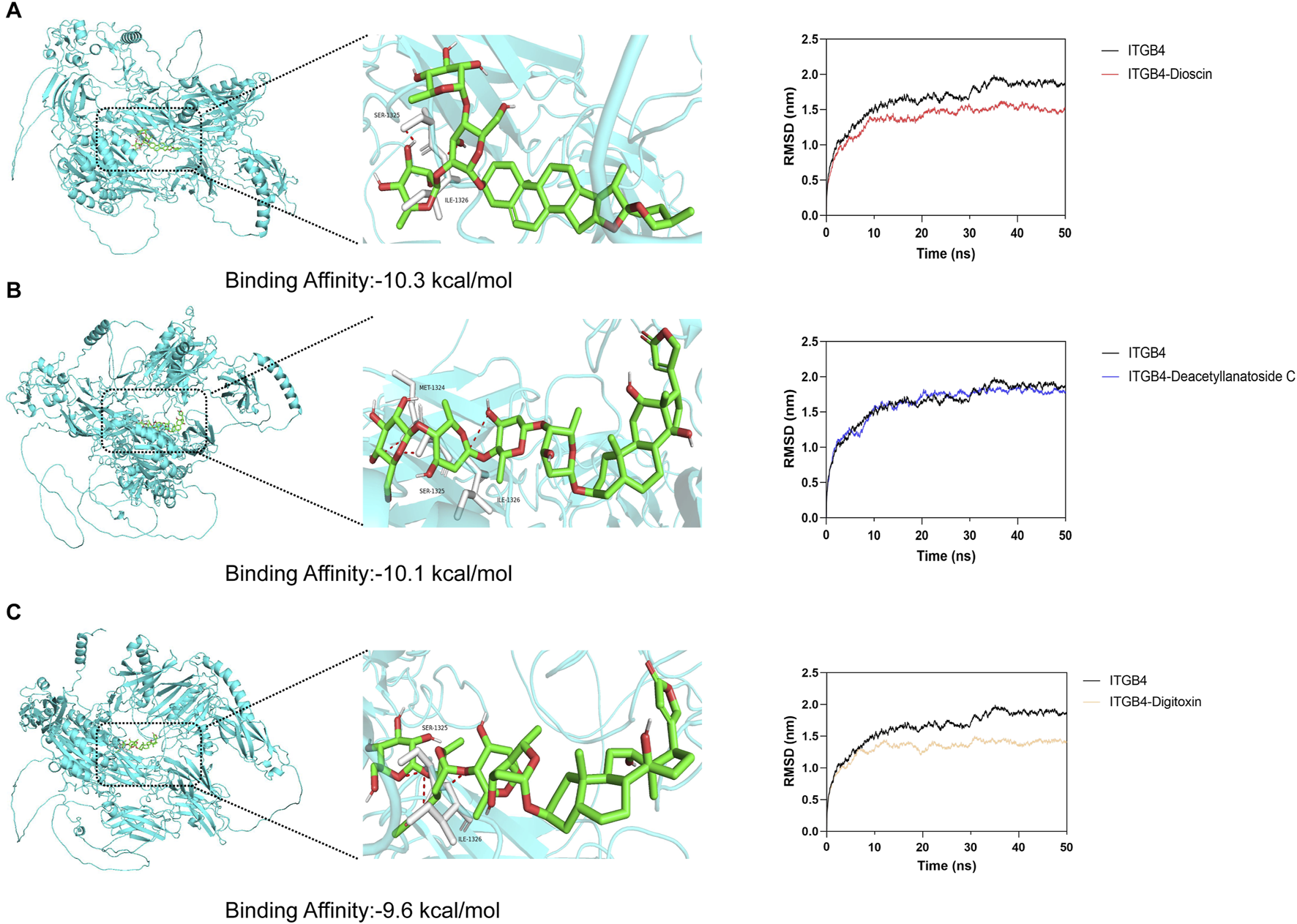 Molecular docking study with three panels (A, B, C). Each panel includes a protein-ligand binding complex, a close-up of the binding site with green ligands and surrounding amino acids, and a corresponding RMSD graph over 50 nanoseconds. Binding affinities: -10.3 kcal/mol (A), -10.1 kcal/mol (B), -9.6 kcal/mol (C). RMSD lines for ITGB4 and different ligands are shown, indicating stability over time.
