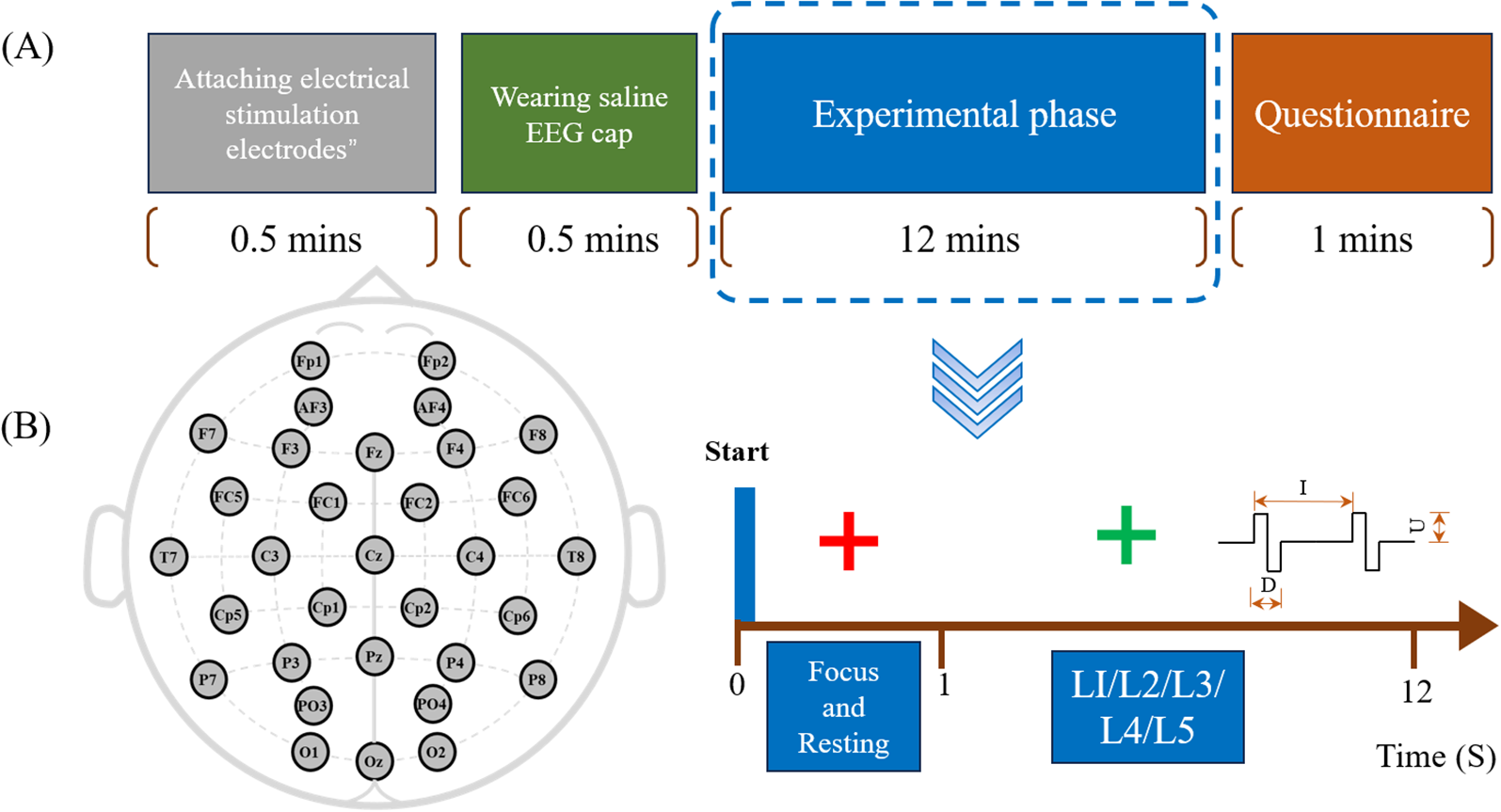 Diagram of an experimental procedure with two main parts. (A) Timeline showing four stages: attaching electrical stimulation electrodes and wearing EEG cap (both 0.5 minutes), experimental phase (12 minutes), and questionnaire (1 minute). (B) EEG electrode placement map on a head with labeled positions. Below is a 12-second timeline starting with “Focus and Resting” for 1 second, followed by five levels (L1-L5). A small graph shows intervals and durations labeled as I, D, and U.