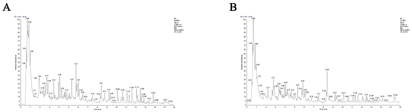 Two chromatograms labeled A and B show retention time on the x-axis and abundance on the y-axis. Both graphs display multiple peaks indicating different compounds detected over time, with varying intensities and retention times.