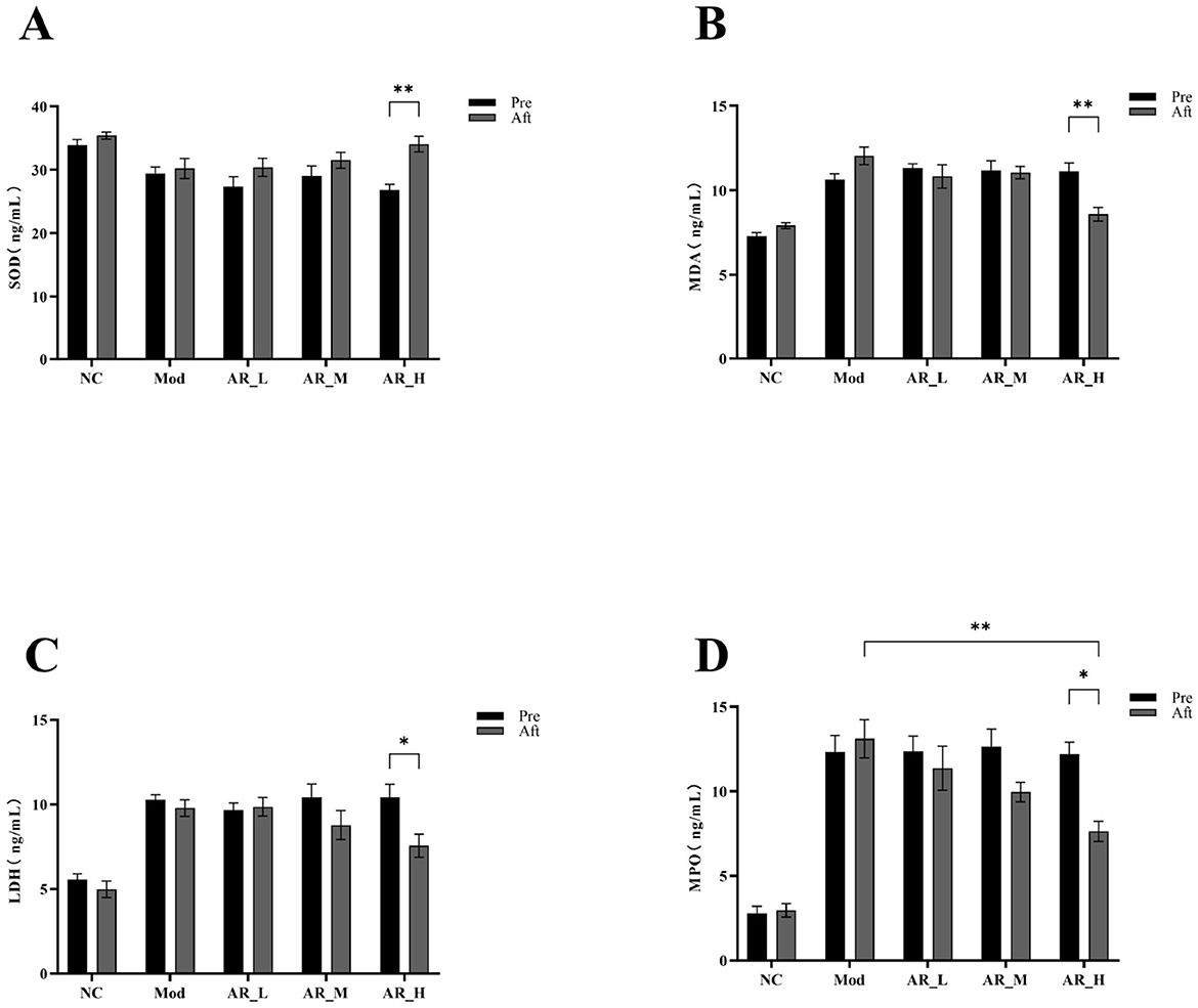 Bar charts in panels A, B, C, and D compare the effects of pre and post-treatment across different groups: NC, Mod, ARL, ARM, ARH. Panel A shows SOD levels, with significant increases in ARH. Panel B displays MDA levels, also increasing in ARH. Panel C illustrates LDH levels, with a noticeable rise in ARH. Panel D depicts MPO levels, showing a significant reduction post-treatment in ARH. Statistical significance is indicated by asterisks, with single asterisks representing p < 0.05 and double asterisks representing p < 0.01.