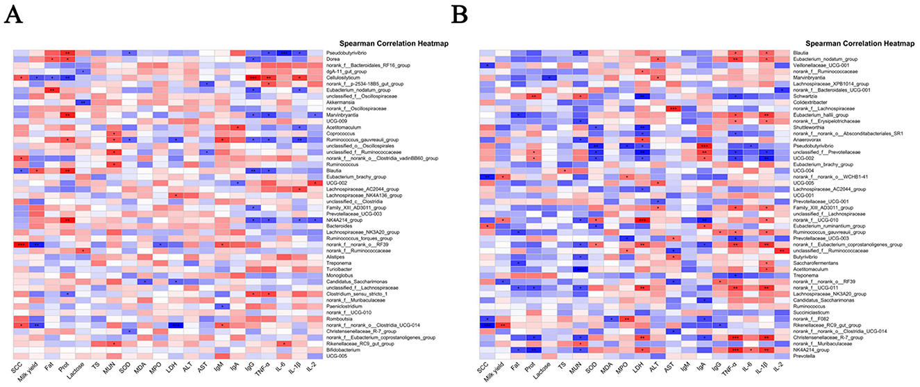 Two Spearman correlation heatmaps labeled A and B. Each heatmap displays correlations between various bacterial groups and physiological parameters. Red indicates positive correlations, blue indicates negative correlations, and white represents neutral correlations. Heatmap A and B show distinct patterns of correlation, suggesting variations in the relationship between the bacterial groups and parameters for different datasets or conditions. Columns represent parameters like SCC, Pa, Po4, and rows denote different bacterial groups.