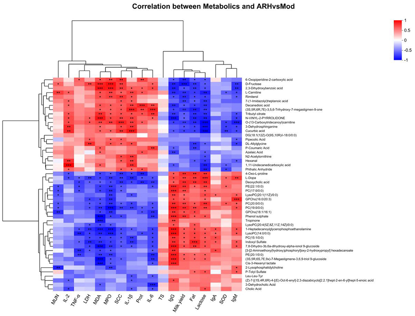 Heatmap showing the correlation between metabolic compounds and ARHvsMod. Compounds are listed on the left, and variables are at the bottom. Red indicates positive correlation, blue indicates negative correlation, with intensity reflecting strength. Cluster analysis is shown through dendrograms on the top and left.
