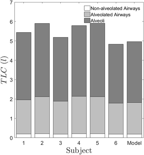 Bar graph comparing Total Lung Capacity (liters) across six subjects and a model. Each bar is divided into two segments, with the light gray representing a lower value and dark gray a higher additional volume. Values range from approximately 4.5 to 6 liters.