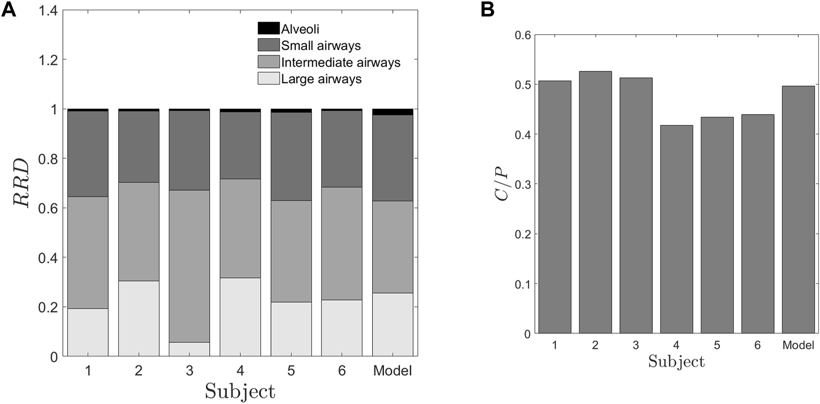 Bar graphs labeled "A" and "B" show data comparisons for six subjects and a model. Graph A displays RRD values segregated into alveoli, small airways, intermediate airways, and large airways. Graph B presents C/P values. Both graphs have a consistent distribution pattern across subjects and the model.