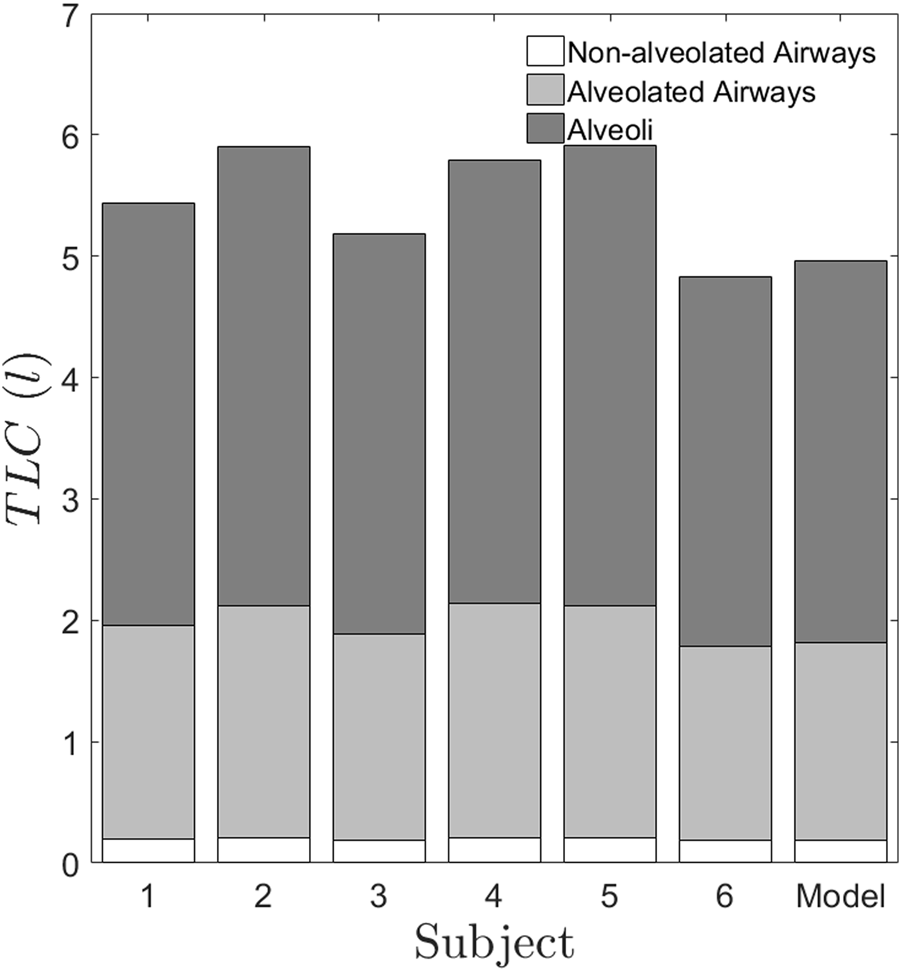 Bar graph comparing Total Lung Capacity (liters) across six subjects and a model. Each bar is divided into two segments, with the light gray representing a lower value and dark gray a higher additional volume. Values range from approximately 4.5 to 6 liters.
