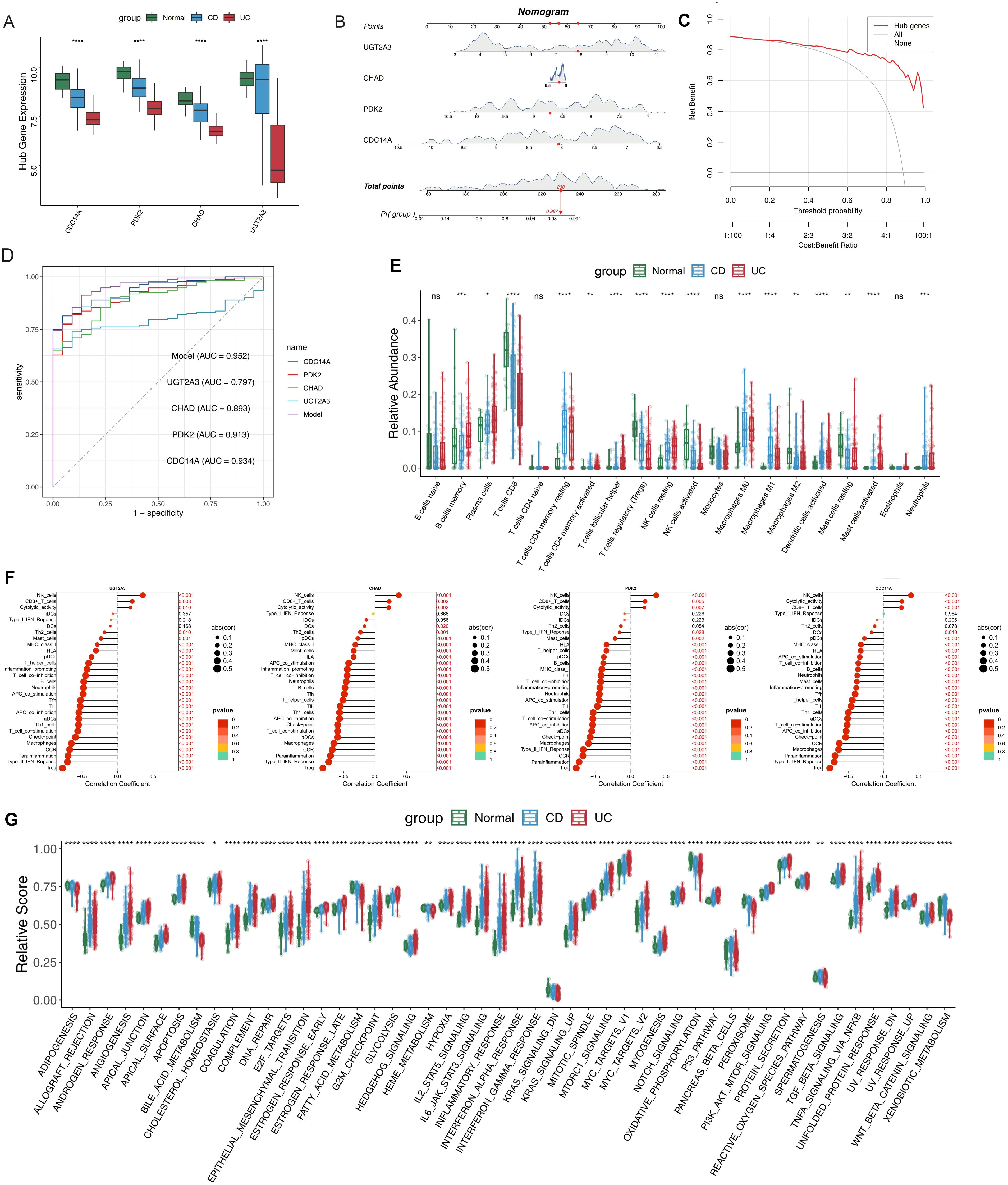 This image consists of multiple panels with various charts and graphs related to gene expression and statistical analysis. Panel A shows box plots comparing gene expression across groups labeled as Normal, CD, and UC. Panel B is a nomogram depicting predictions from multiple genes. Panel C features a net benefit graph for different gene models. Panel D presents ROC curves for model comparisons. Panel E shows bar plots of relative abundance of various taxa. Panel F provides correlation coefficient plots for different conditions. Panel G illustrates relative scores for numerous genes across the groups.