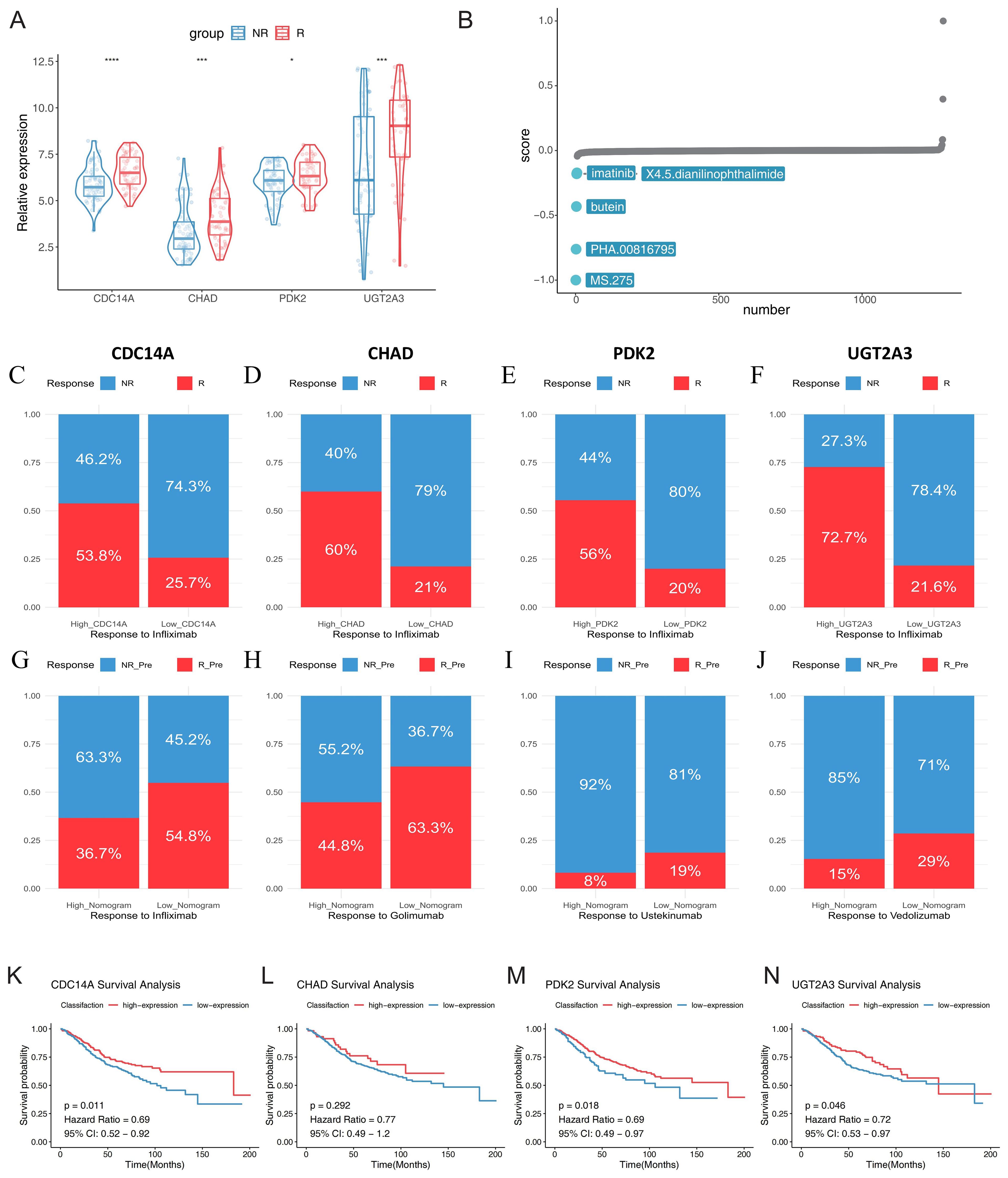 Panel A displays violin plots comparing relative expression levels of genes CDC14A, CHAD, PDK2, and UGT2A3 between two groups (NR and R). Panel B shows a scatter plot indicating scores from a database search, highlighting certain compounds. Panels C to J present bar charts of treatment responses to infliximab, golimumab, ustekinumab, and vedolizumab, segregated by gene expression levels and nomogram scores. Panels K to N provide survival analysis curves for high and low expression groups of the same genes, along with hazard ratios and p-values.