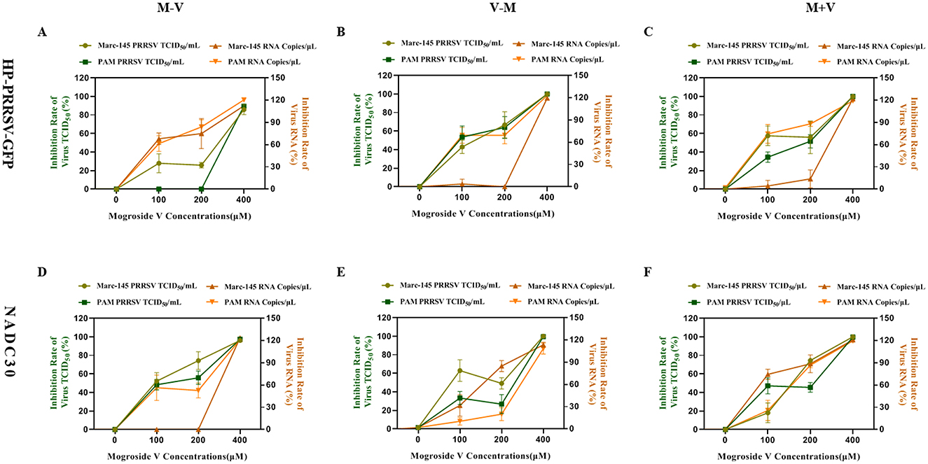 Graphs A to F illustrate the inhibition rates of viruses treated with varying concentrations of Mogroside V. The graphs compare Marc-145 and PAM cells, showing data for PRRSV TCID per milliliter and RNA copies per microliter. Axes show Mogroside V concentrations in micromolars and corresponding inhibition rates in percentages. Different experimental conditions are labeled as M-V, V-M, and M+V, with two viral strains, HP-PRRSV-GFP and NADC30.