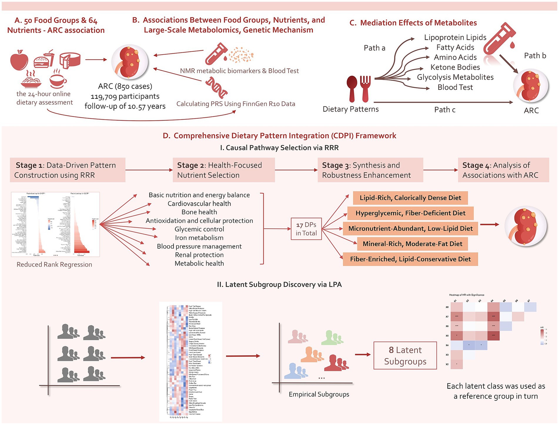 Schematic of the study pipeline on acquired renal cysts (ARC). Panel A summarizes UK Biobank diet data: 50 food groups and 64 nutrients from repeated online assessments in 119,709 adults over a median 10.57 years. Panel B shows associations between foods/nutrients and metabolomics (NMR). Panel C illustrates mediation of ARC risk by selected metabolites. Panel D outlines the Comprehensive Dietary Pattern Integration (CDPI): nutrient-focused RRR to derive dietary patterns and LPA to find latent dietary profiles. Outputs include 17 dietary patterns grouped into five diet types and eight latent profiles that are tested prospectively for ARC risk.