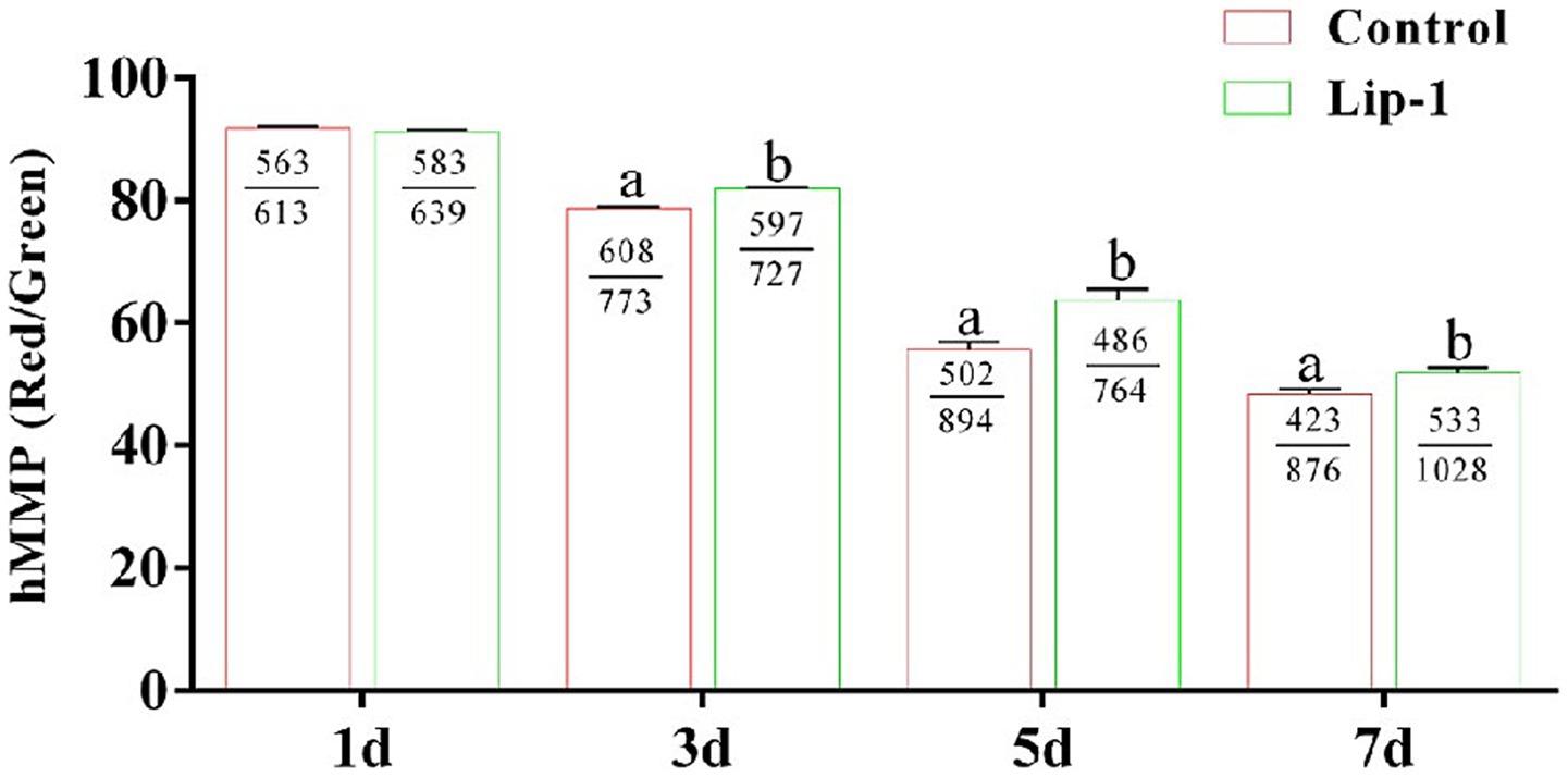 Bar graph comparing hMMP (red/green) ratios over days 1, 3, 5, and 7 for control and Lip-1 groups. Control and Lip-1 are shown with red and green bars, respectively, indicating values across the time points. Bars are annotated with values and statistical significance markers.