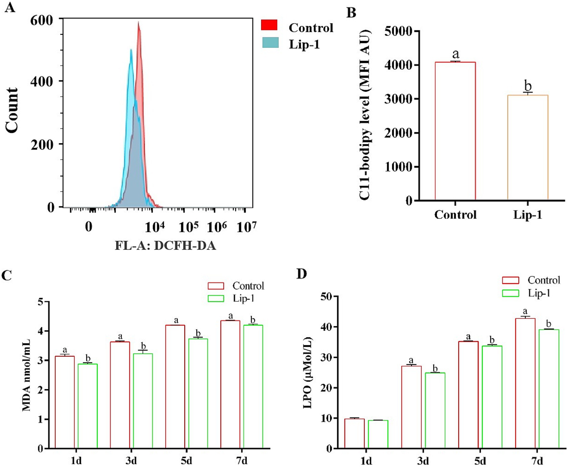 Four-part figure comparing control and Lip-1 treatments. A: Histogram showing FL-A: DCFH-DA counts, with control in red and Lip-1 in blue, peaking similarly. B: Bar graph showing C11-bodipy levels, control higher than Lip-1. C: MDA levels over time, control consistently higher than Lip-1. D: LPO levels, with control higher than Lip-1, both increasing over time. Bars labeled with