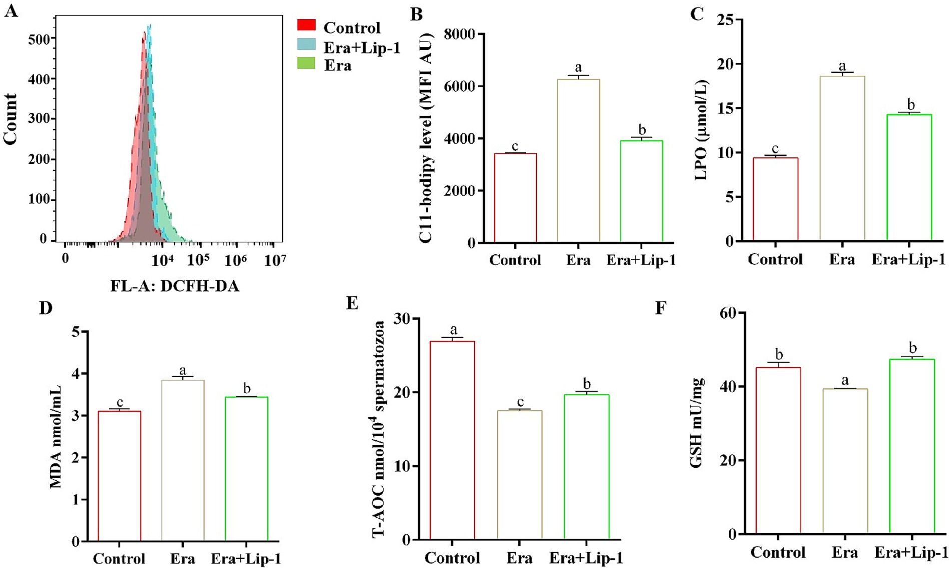 The image contains six panels of graphs analyzing various biochemical parameters across three groups: Control, Era, and Era+Lip-1. Panel A presents a flow cytometry histogram showing DCFH-DA fluorescence intensity, with Era showing the highest and Control the lowest peaks. Panel B displays a bar graph of C11-BODIPY levels, highest in Era. Panel C shows LPO levels, highest in Era. Panel D illustrates MDA levels, highest in Era. Panel E presents T-AOC levels, highest in Control. Panel F depicts GSH levels, highest in Control and Era+Lip-1. Each graph indicates statistically significant differences with letters.