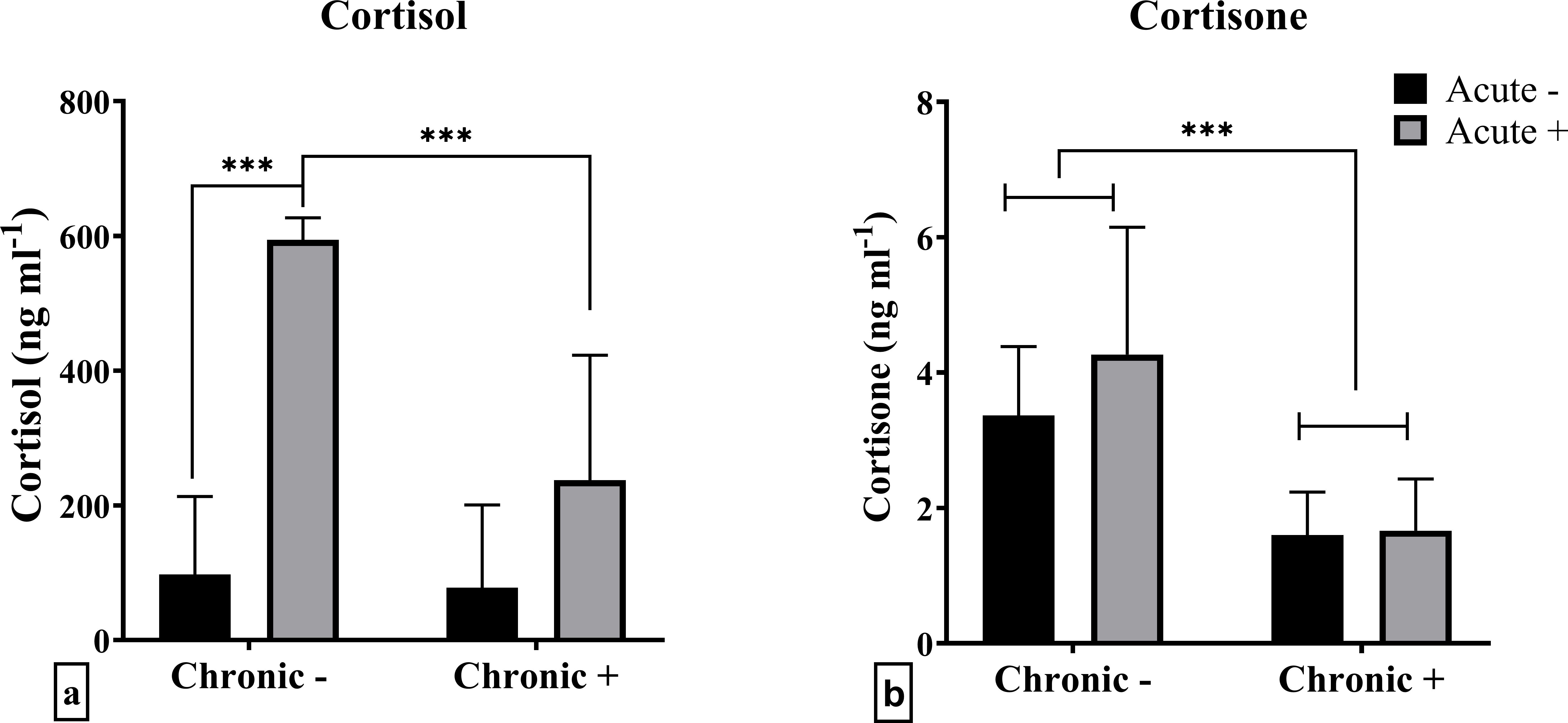 Bar charts comparing cortisol and cortisone levels under different conditions. Chart (a) shows higher cortisol in acute stress conditions, with significantly higher levels in chronic negative scenarios. Chart (b) reveals higher cortisone in acute stress, with less variation in chronic conditions. Acute conditions are represented in black for negative and gray for positive effects. Statistical significance is marked with asterisks.