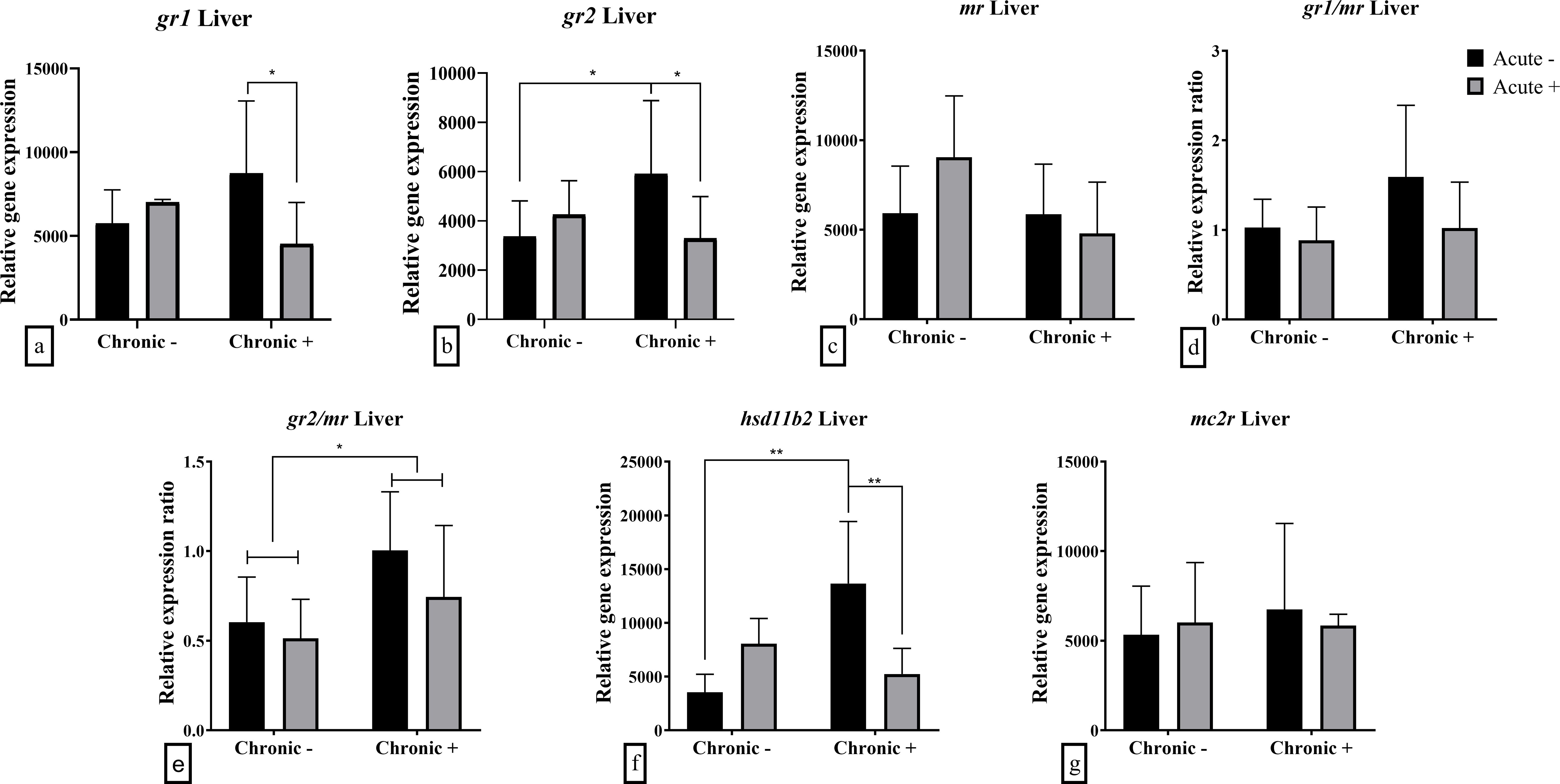 Bar charts illustrating relative gene expression in the liver for various genes under chronic conditions. Panels a to g include data for gr1, gr2, mr, gr1/mr, gr2/mr, hsd11b2, and mc2r, respectively. Chronic negative and positive conditions are compared, with acute conditions indicated by different bar colors. Asterisks denote statistical significance.