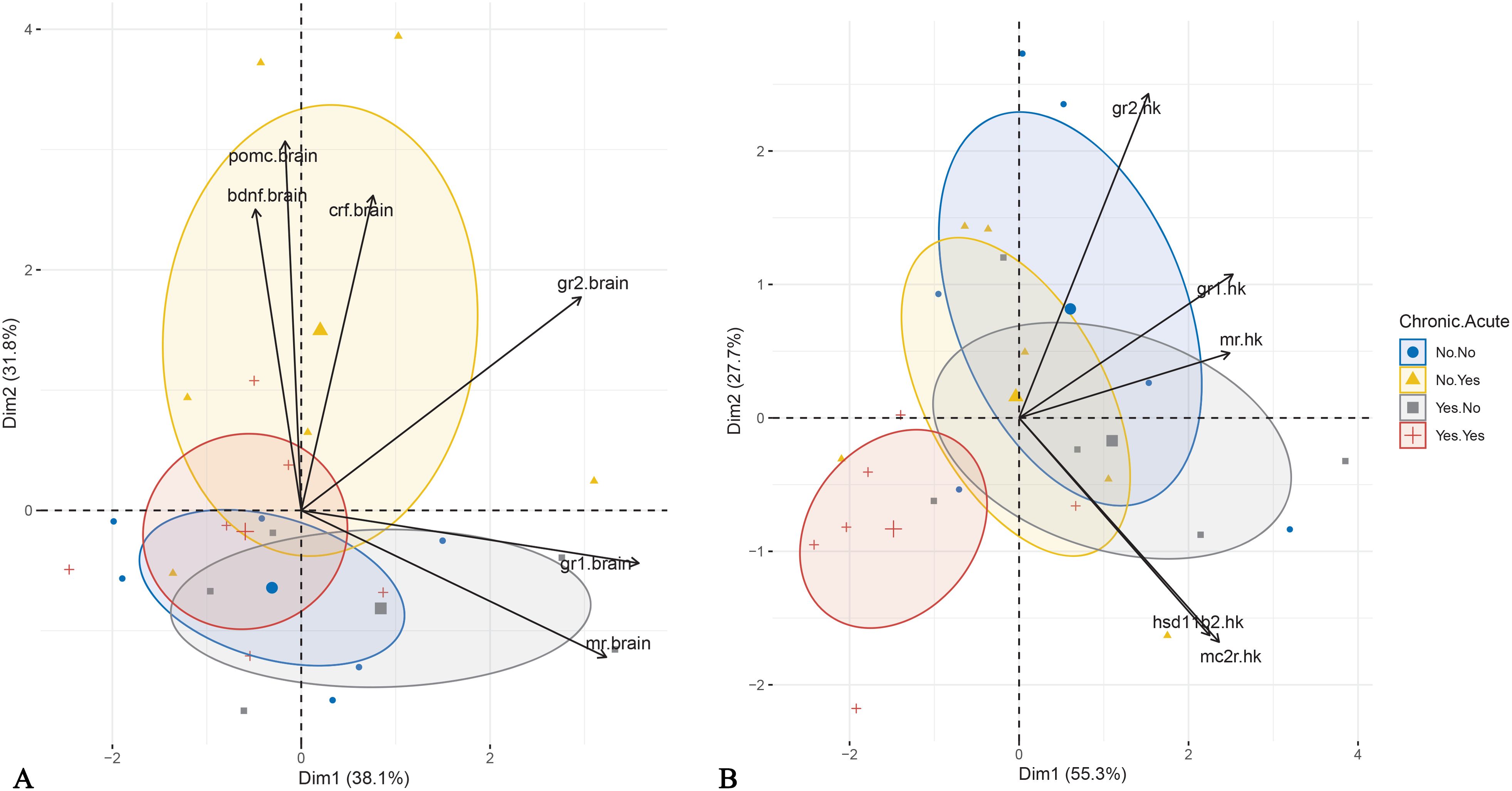 Scatter plots titled “A” and “B” display data along two dimensions, with different colored ellipses representing groups: blue, yellow, red, and gray. Arrows indicate variables like “pomc.brain” and “gr2.hk.” The legend categorizes data by chronic and acute conditions with shapes and colors: blue circles (No.No), yellow triangles (No.Yes), gray squares (Yes.No), and red crosses (Yes.Yes).