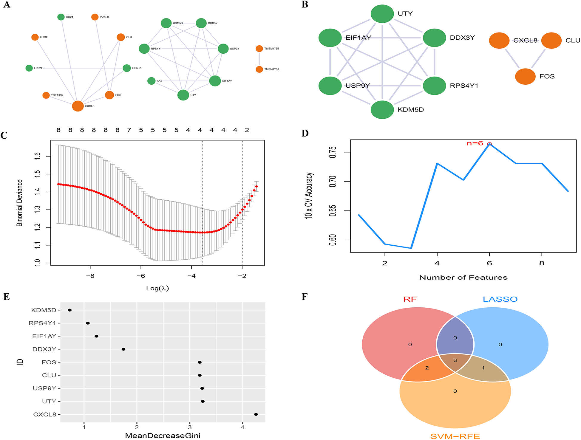 Panel A shows three gene interaction networks with green and orange nodes. Panel B presents two smaller gene networks. Panel C features a plot of binomial deviance versus log(lambda) with a distinct U-shaped curve. Panel D is a line plot showing 10-fold cross-validation accuracy against the number of features, peaking at six features. Panel E is a dot plot displaying gene importance based on MeanDecreaseGini. Panel F contains a Venn diagram with three overlapping circles labeled RF, LASSO, and SVM-RFE, highlighting shared and unique elements.