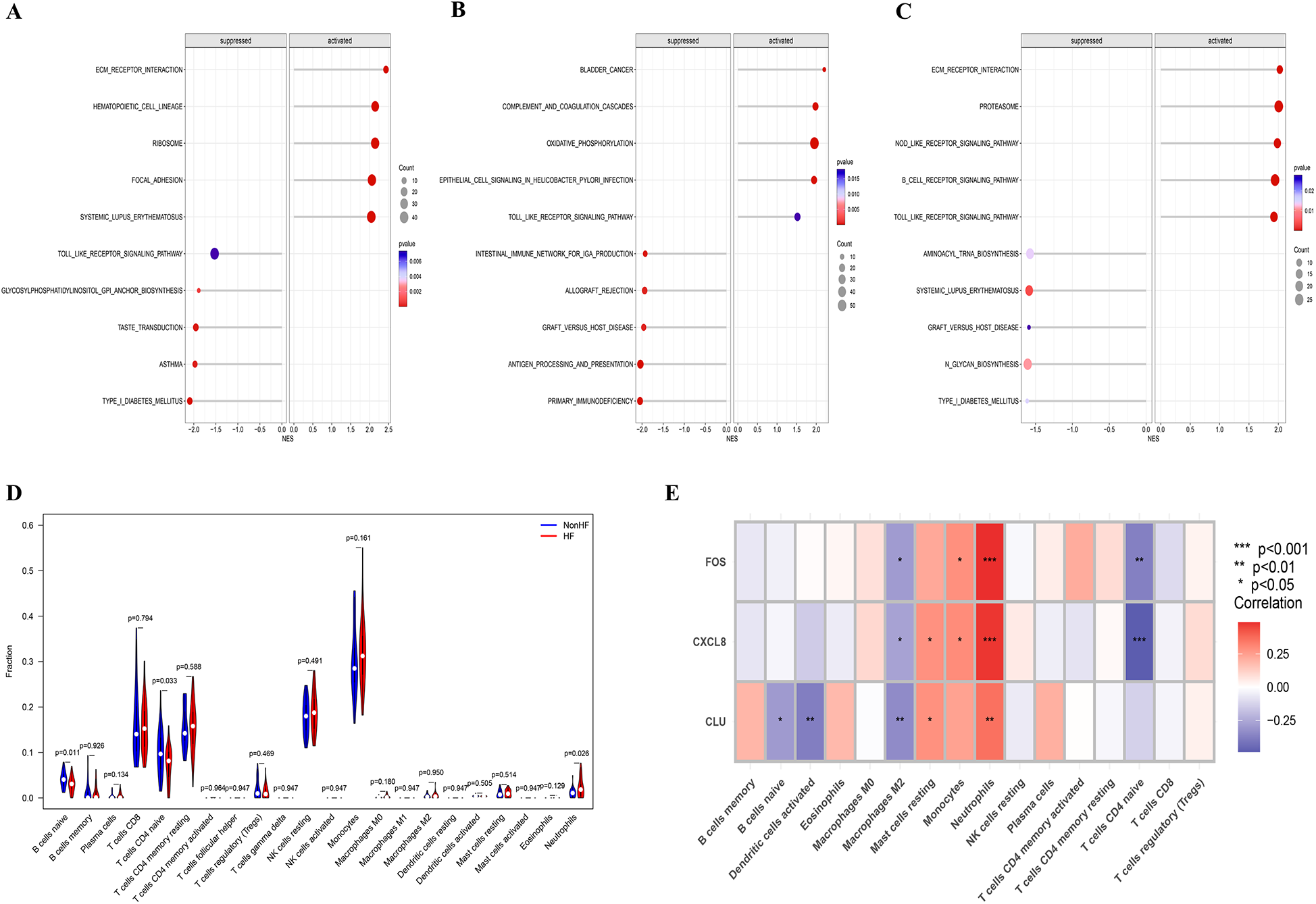 Five panels of graphical data visualizations. Panels A, B, and C are dot plots showing pathways with Normalized Enrichment Scores (NES) for suppressed and activated conditions, indicating significance by dot size and color intensity. Panel D is a violin plot comparing cell fraction distributions between NonHF and HF groups across multiple cell types, with p-values annotated. Panel E is a heatmap displaying the correlation of three genes (FOS, CXCL8, CLU) with various immune cells, marked by color intensity and significance symbols for different p-values.