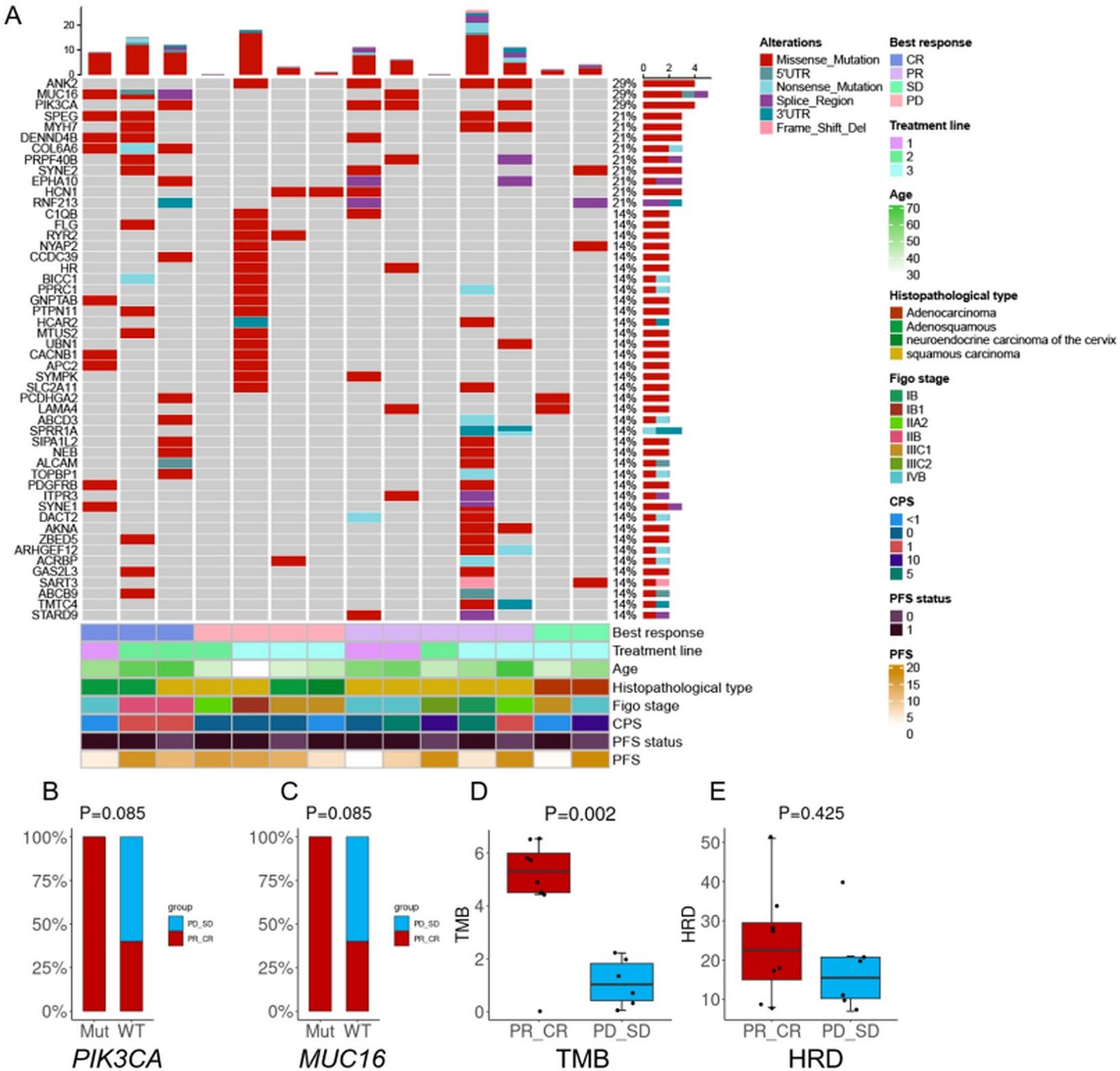 Panel A shows a heatmap with genetic alterations, treatment responses, and patient demographics such as age, cancer type, stage, and progression-free survival status. Panels B and C display bar graphs comparing mutation frequencies of PIK3CA and MUC16, with categories Mut vs WT, and group labels PR_SD and PR_CR. Panels D and E feature box plots for TMB and HRD, indicating statistical comparisons between PR_CR and PD_SD groups, with p-values noted.