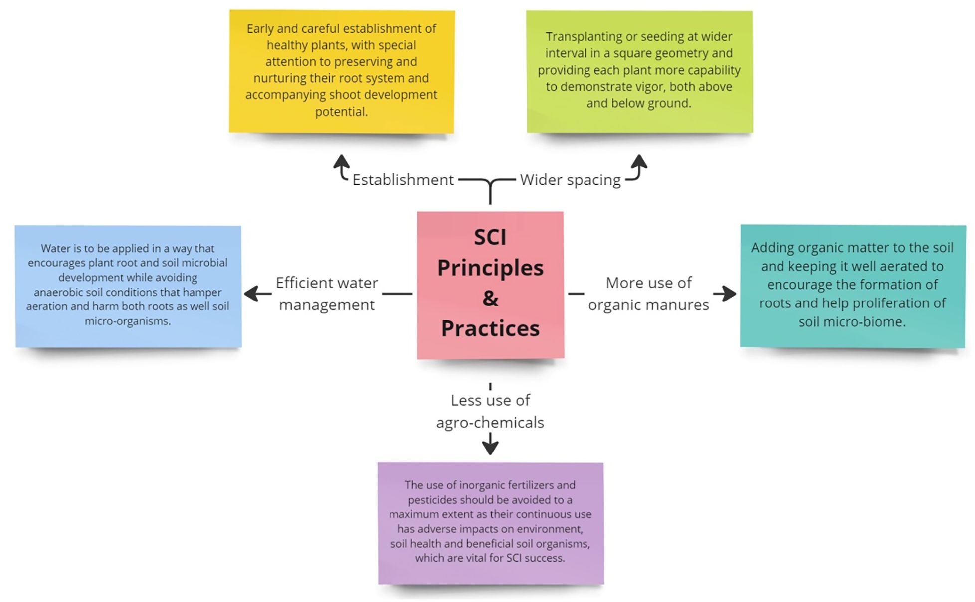 Flowchart illustrating System of Crop Intensification (SCI) principles. Central box labeled “SCI Principles & Practices” with four connected boxes: top boxes labeled “Establishment” (yellow) and “Wider spacing” (green), side boxes labeled “Efficient water management” (light blue) and “More use of organic manures” (blue-green), and bottom box labeled “Less use of agro-chemicals” (purple). Each box contains detailed guidelines related to its heading.