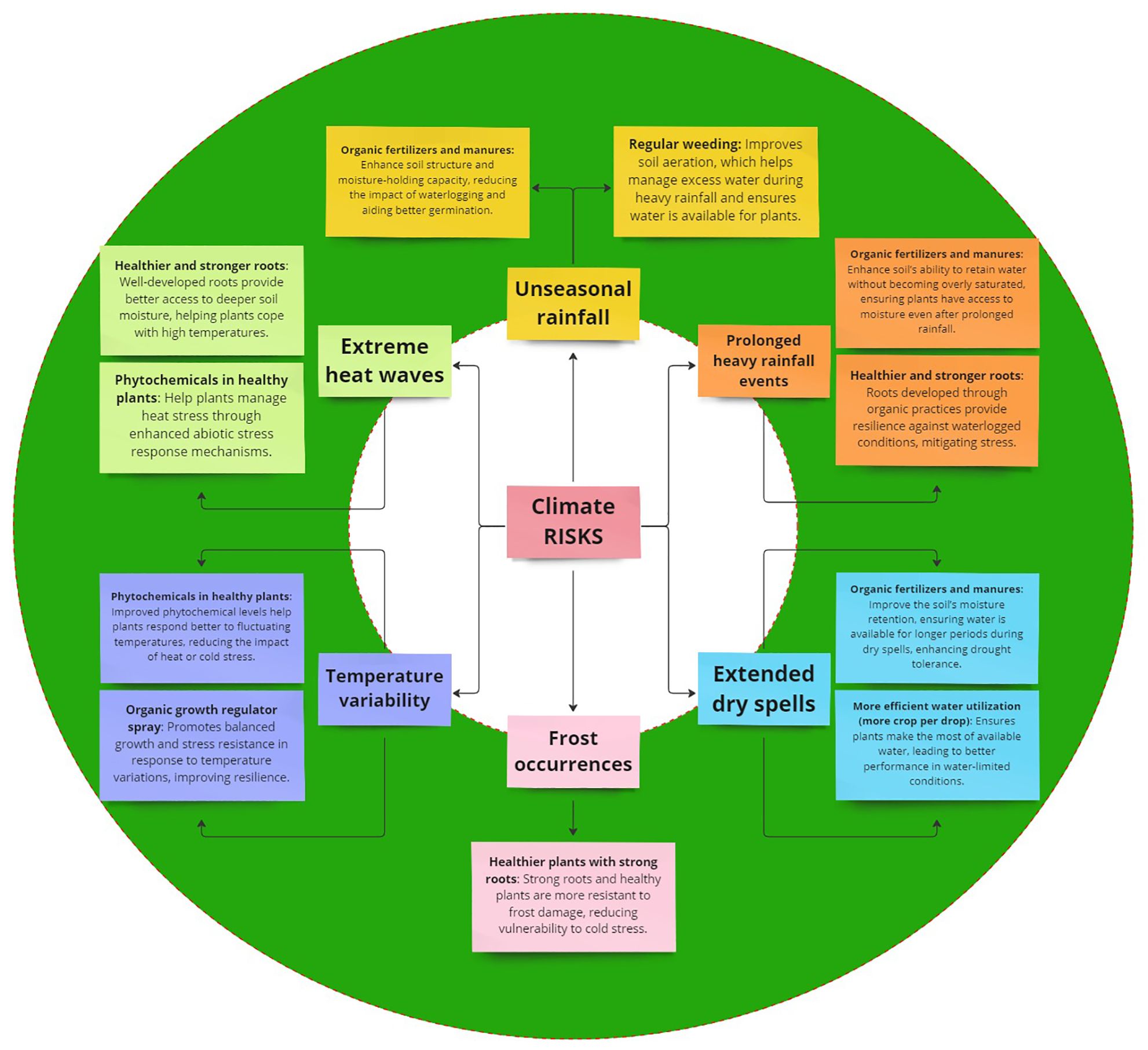 Diagram illustrating climate risks affecting agriculture: unseasonal rainfall, prolonged heavy rainfall, extreme heat waves, temperature variability, frost occurrences, and extended dry spells. Each risk is surrounded by strategies for resilience, such as organic fertilizers, phytochemicals in healthy plants, regular weeding, and efficient water utilization. Strategies aim to enhance soil structure, improve root strength, and increase plant resilience to stresses like heat and drought, thereby mitigating the overall impact of climate risks. The diagram emphasizes the importance of balanced growth and stress resistance in promoting agricultural sustainability.