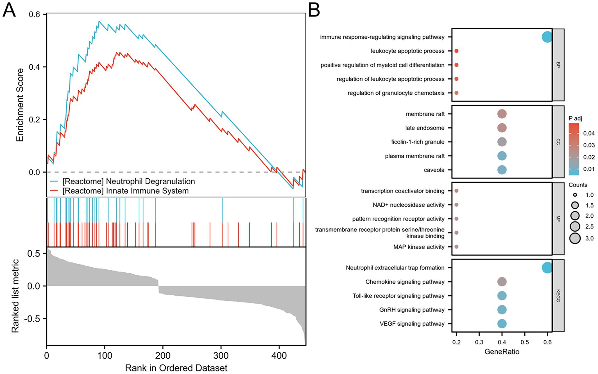 Panel A shows a line plot with coefficients on the y-axis and Log(λ) on the x-axis, with lines representing genes such as SRC and TLR8. Panel B is a scatter plot showing the mean decrease in accuracy for genes like HIF1A and SRC on the y-axis.