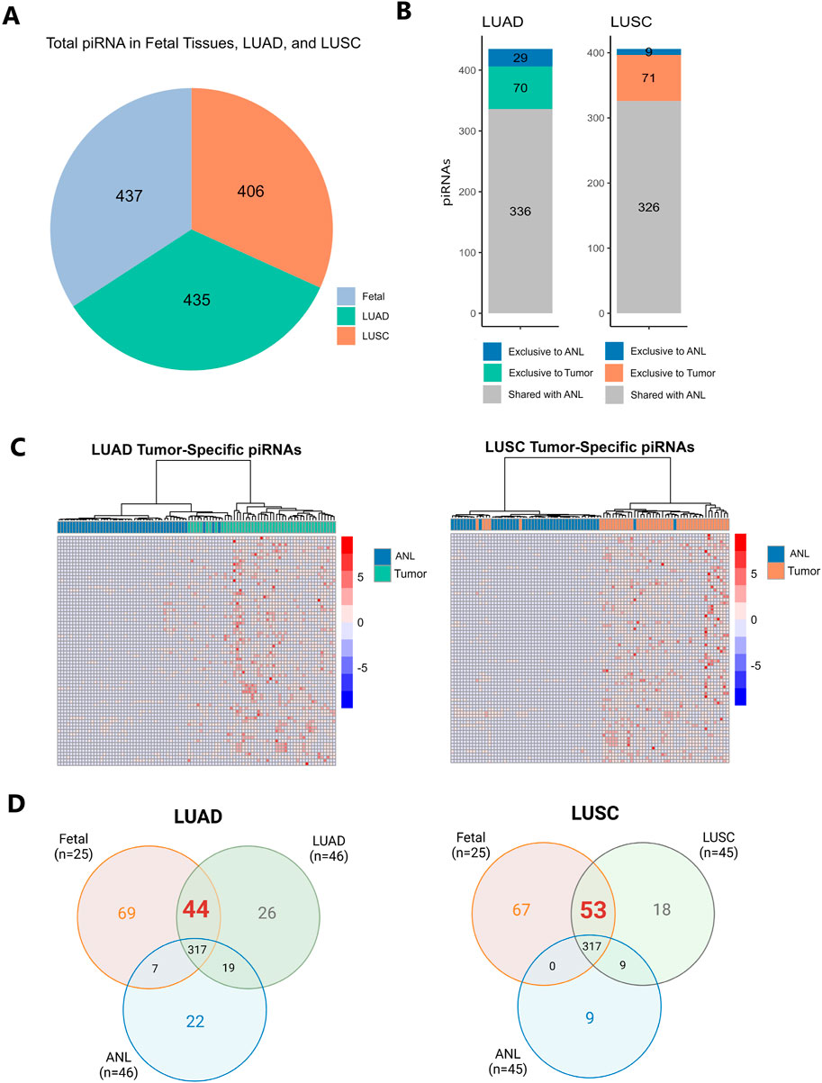 A set of four panels illustrating piRNA data in fetal tissues, LUAD, and LUSC. Panel A displays a pie chart with segments labeled as 437 for fetal, 406 for LUAD, and 435 for LUSC. Panel B contains bar graphs with piRNA distribution exclusive to ANL, tumors, and shared, highlighting 336 and 326 shared piRNAs in LUAD and LUSC, respectively. Panel C features LUAD and LUSC tumor-specific piRNA heatmaps, with a blue to red color gradient indicating expression levels. Panel D presents Venn diagrams showing overlaps of piRNAs between fetal, LUAD, LUSC, and ANL, with the intersections marked as 44 for LUAD and 53 for LUSC.