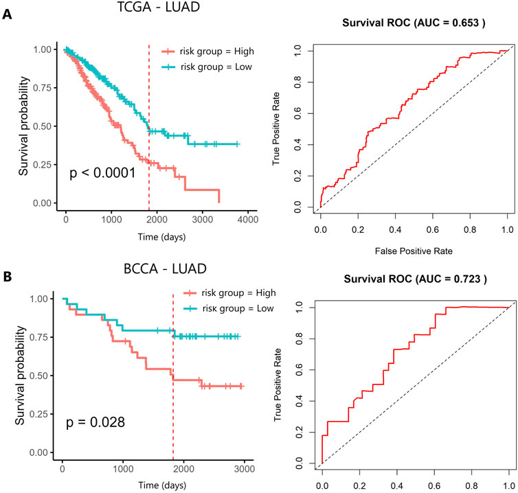 Two panels show survival analysis for lung adenocarcinoma (LUAD) with Kaplan-Meier curves and ROC curves. Panel A: TCGA data, with significant survival difference (p < 0.0001) and an ROC AUC of 0.653. Panel B: BCCA data, with survival difference (p = 0.028) and an ROC AUC of 0.723. High and low-risk groups are differentiated.