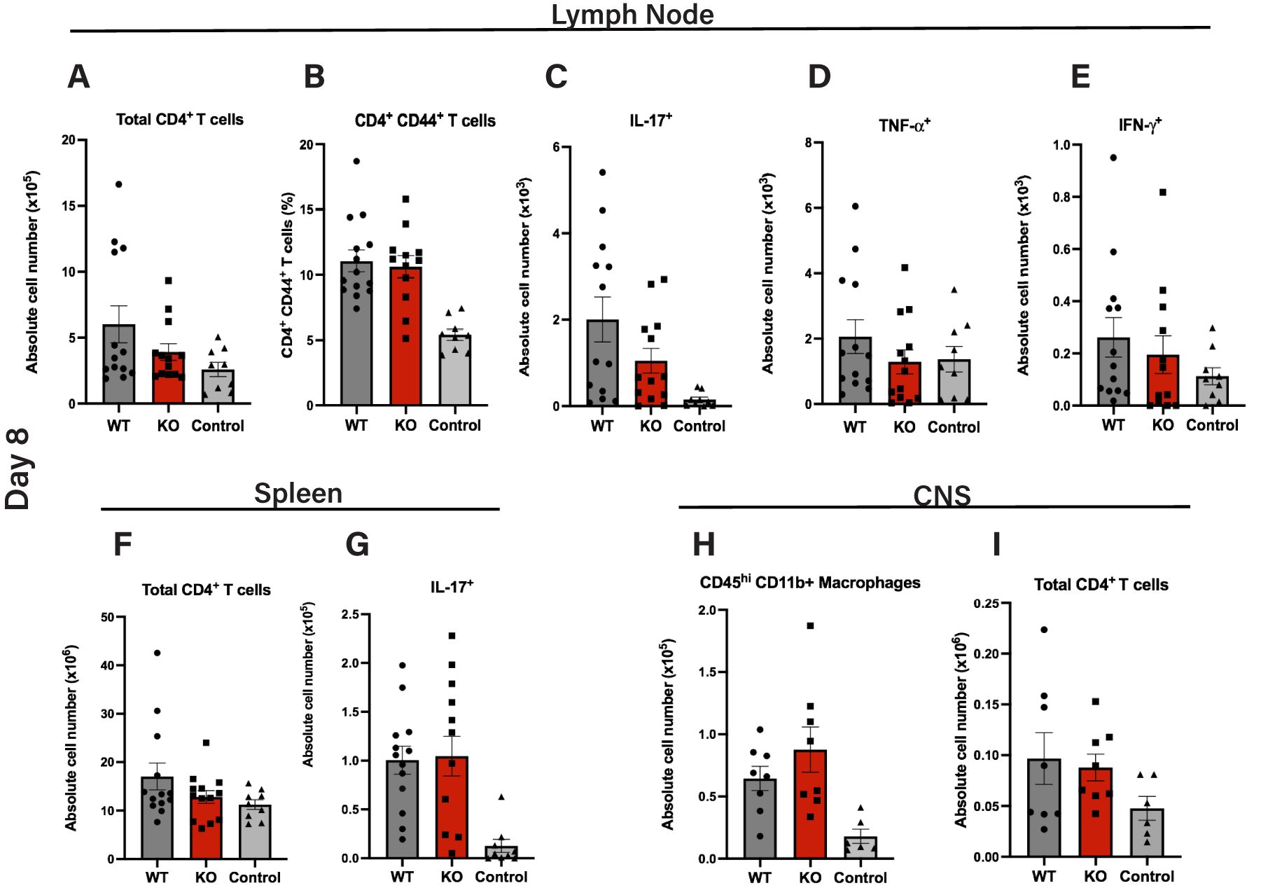 Bar graphs display immune cell populations in lymph nodes, spleen, and CNS on day eight. Data categories include total CD4+ T cells, CD4+ CD44+ T cells, IL-17+, TNF-α, IFN-γ, and CD45hi CD11b+ macrophages, compared across WT, KO, and Control groups, showing variations in absolute cell numbers or percentages.