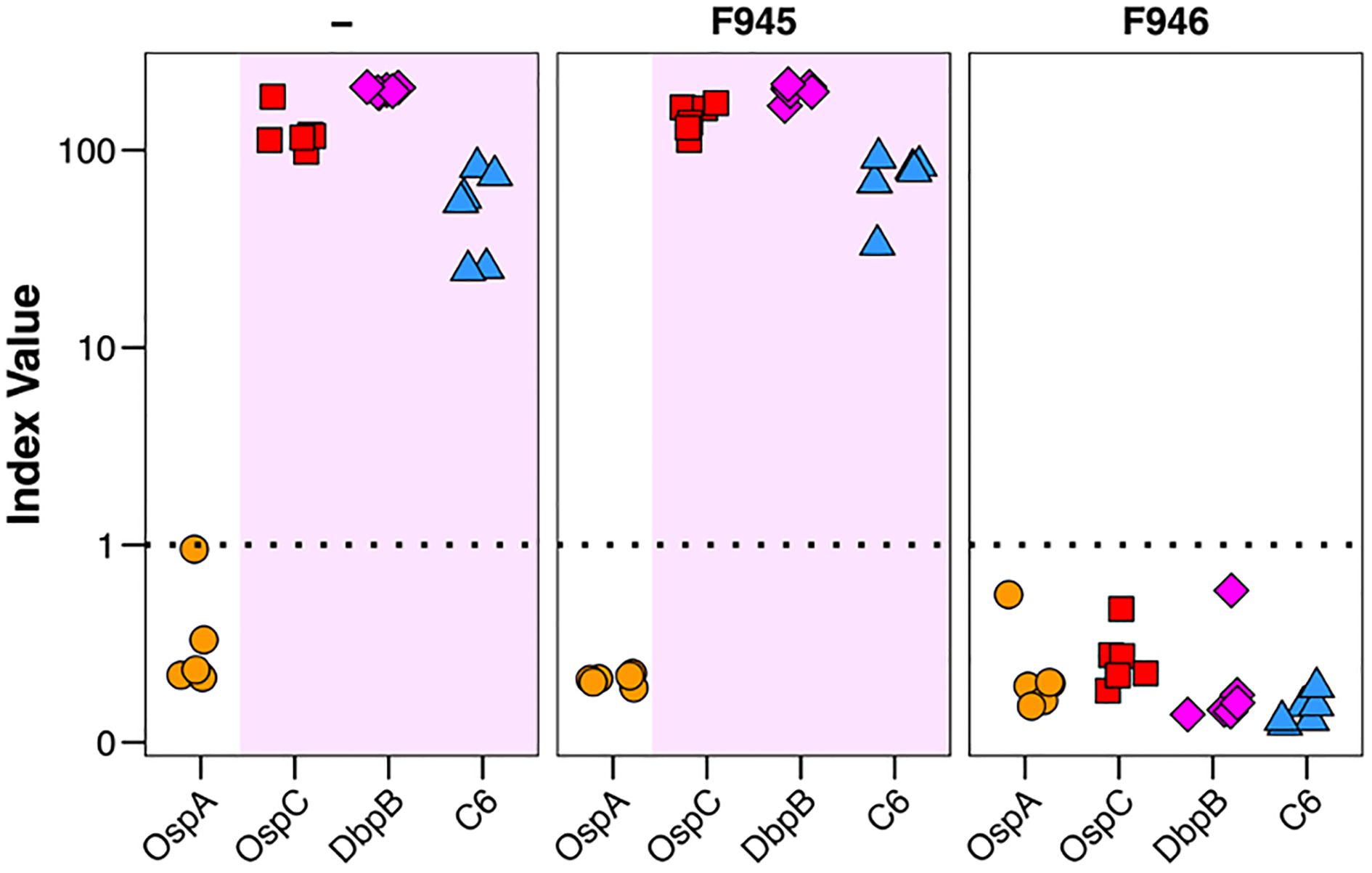 Scatter plot comparing index values across three panels labeled “-”, “F945”, and “F946” for four markers: OspA, OspC, DbpB, and C6. Each marker is represented by different colored shapes. The first two panels display higher index values primarily for OspC and DbpB, indicated by red squares and pink diamonds, while the third panel shows lower values for all markers. The horizontal axis shows marker names, and the vertical axis shows index values ranging from 0 to 100. Dotted lines separate the higher index range.
