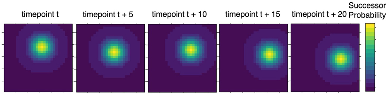 Series of five heatmaps showing the distribution of successor probabilities over four time intervals: timepoint t, t + 5, t + 10, t + 15, and t + 20. Central yellow region represents higher probability, surrounded by decreasing probabilities in green, then purple. Color scale indicating probability is on the right.