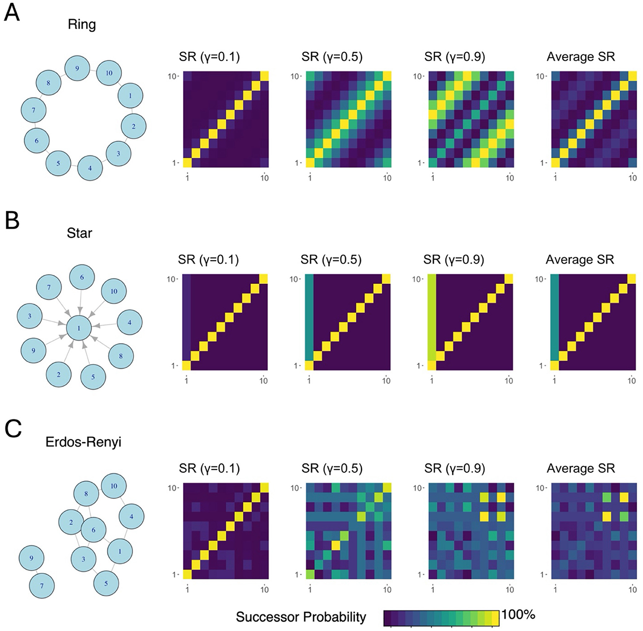 Graphical representation of three network structures: (A) Ring, (B) Star, and (C) Erdos-Renyi. Each structure is accompanied by heatmaps showing successor representations (SR) at γ values of 0.1, 0.5, 0.9, and the average. Heatmaps use a color gradient from dark purple (low probability) to yellow (high probability) to depict successor probabilities.